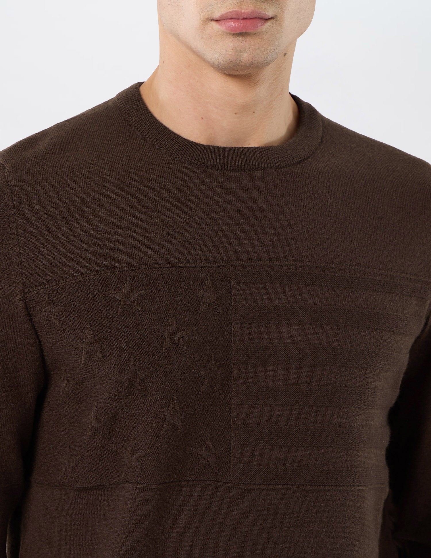 Patterned Knit Regular Fit Sweater Brown - U.S. POLO ASSN. | Large