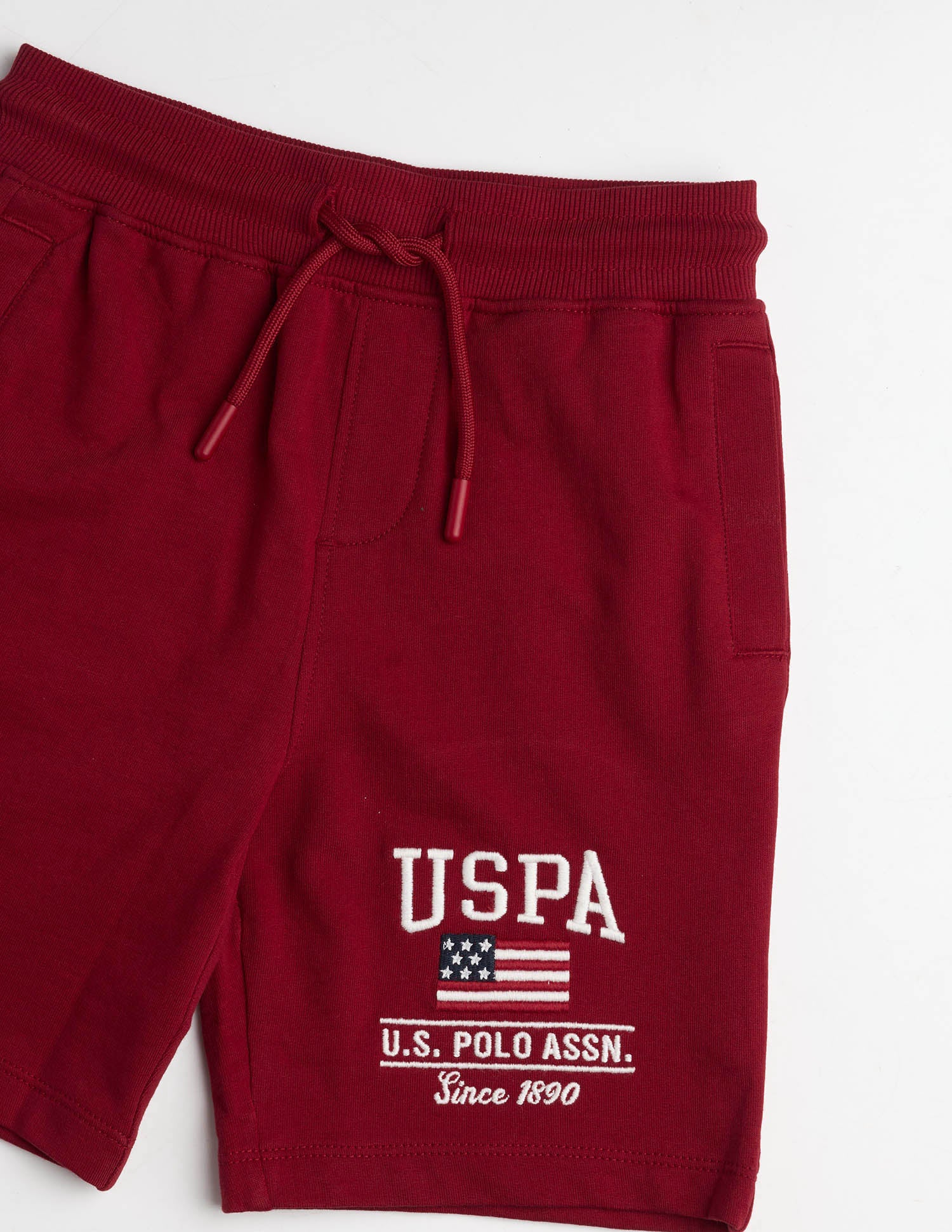 Boys Brand Printed Regular Fit Shorts Red - U.S. Polo Assn. India | Large