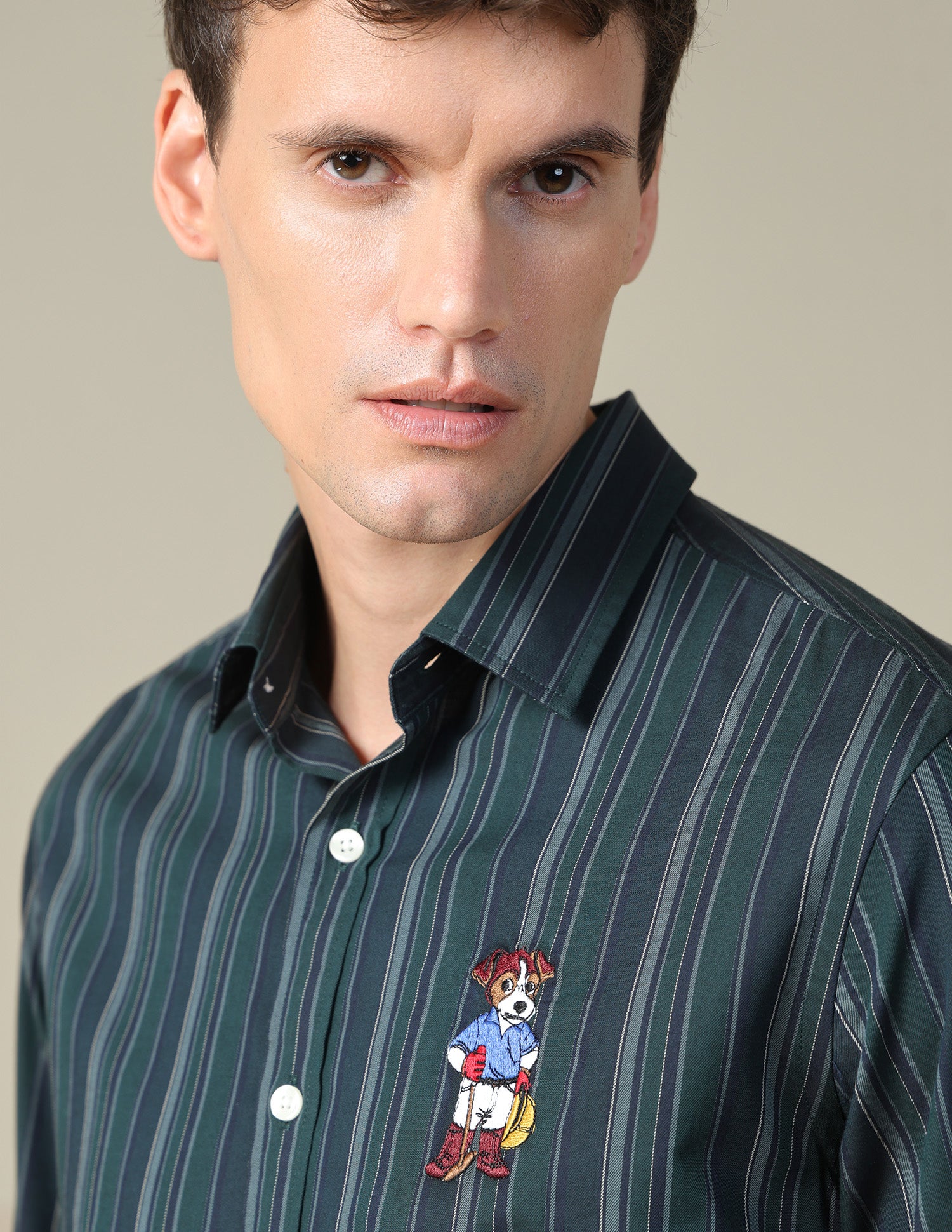 Vertical Striped Twill Shirt Dark Green - U.S. Polo Assn. India | Large