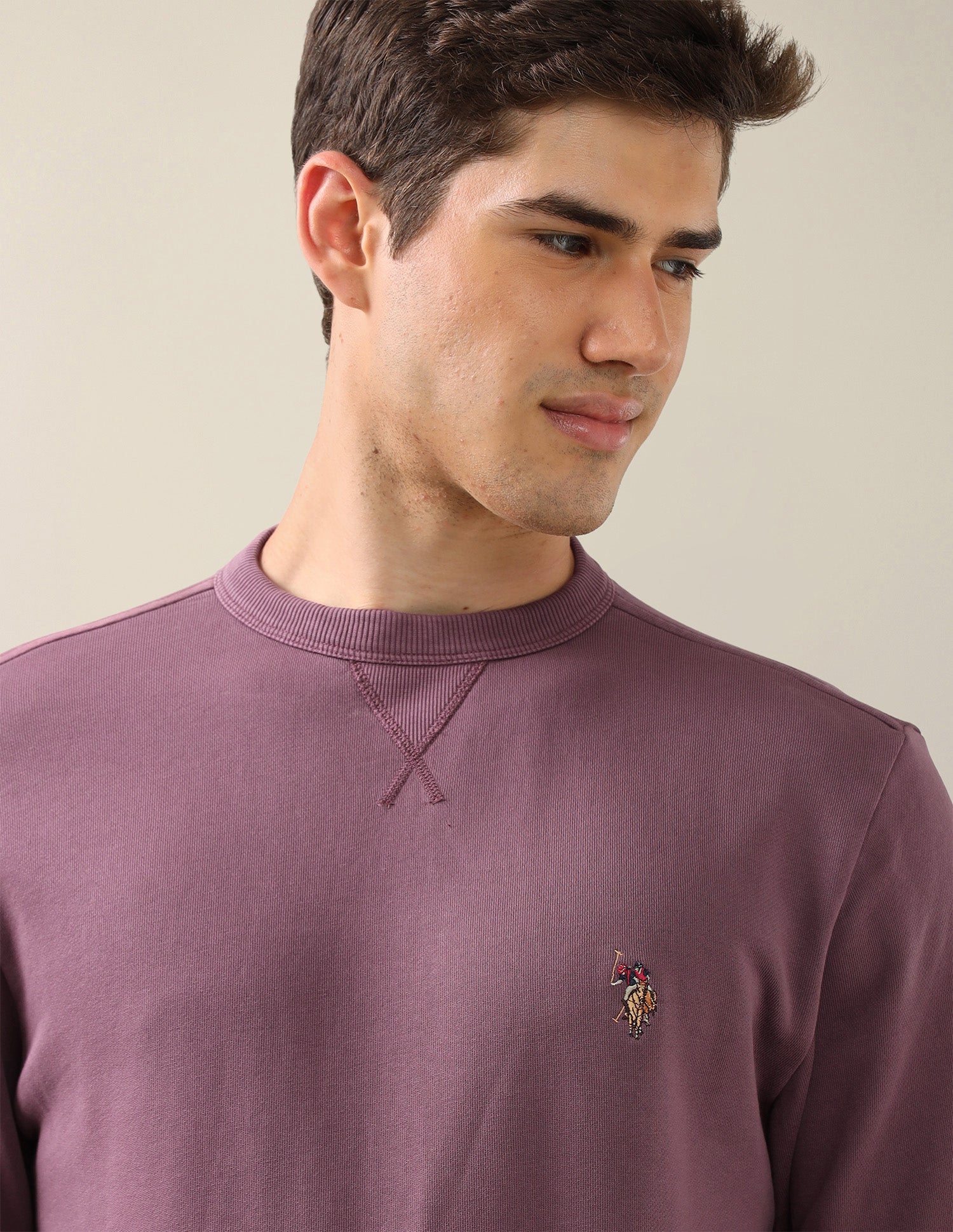 Solid Regular Fit Sweatshirt Dark Pink - U.S. Polo Assn. India | Large