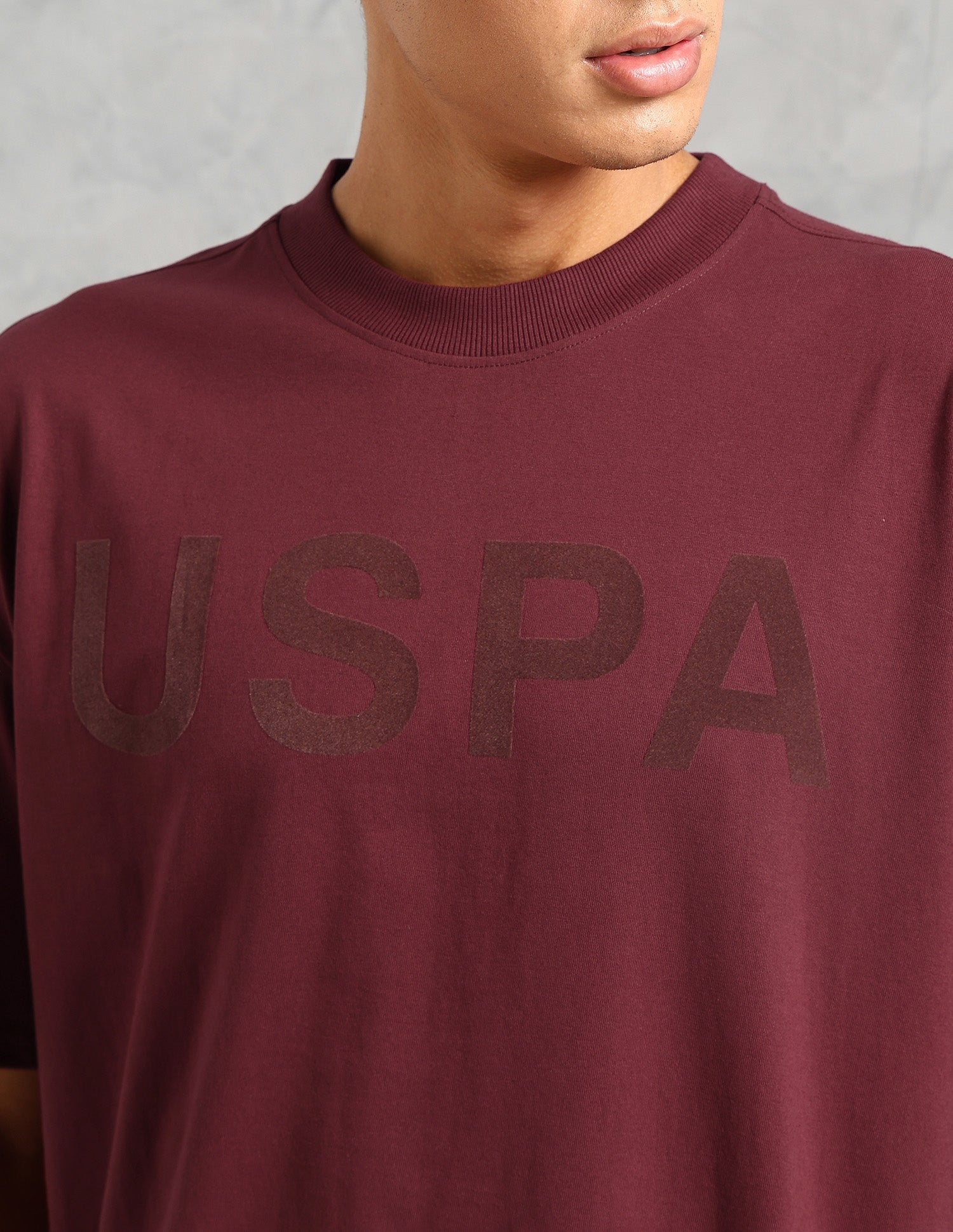Brand Printed Comfort Fit OEE09 Lounge T-Shirt - Pack Of 1 Oxblood Red - U.S. POLO ASSN. | Large