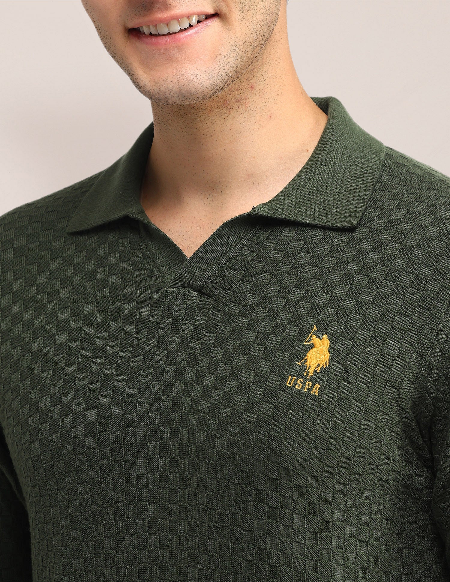 Textured Regular Fit Sweater Olive - U.S. Polo Assn. India | Large