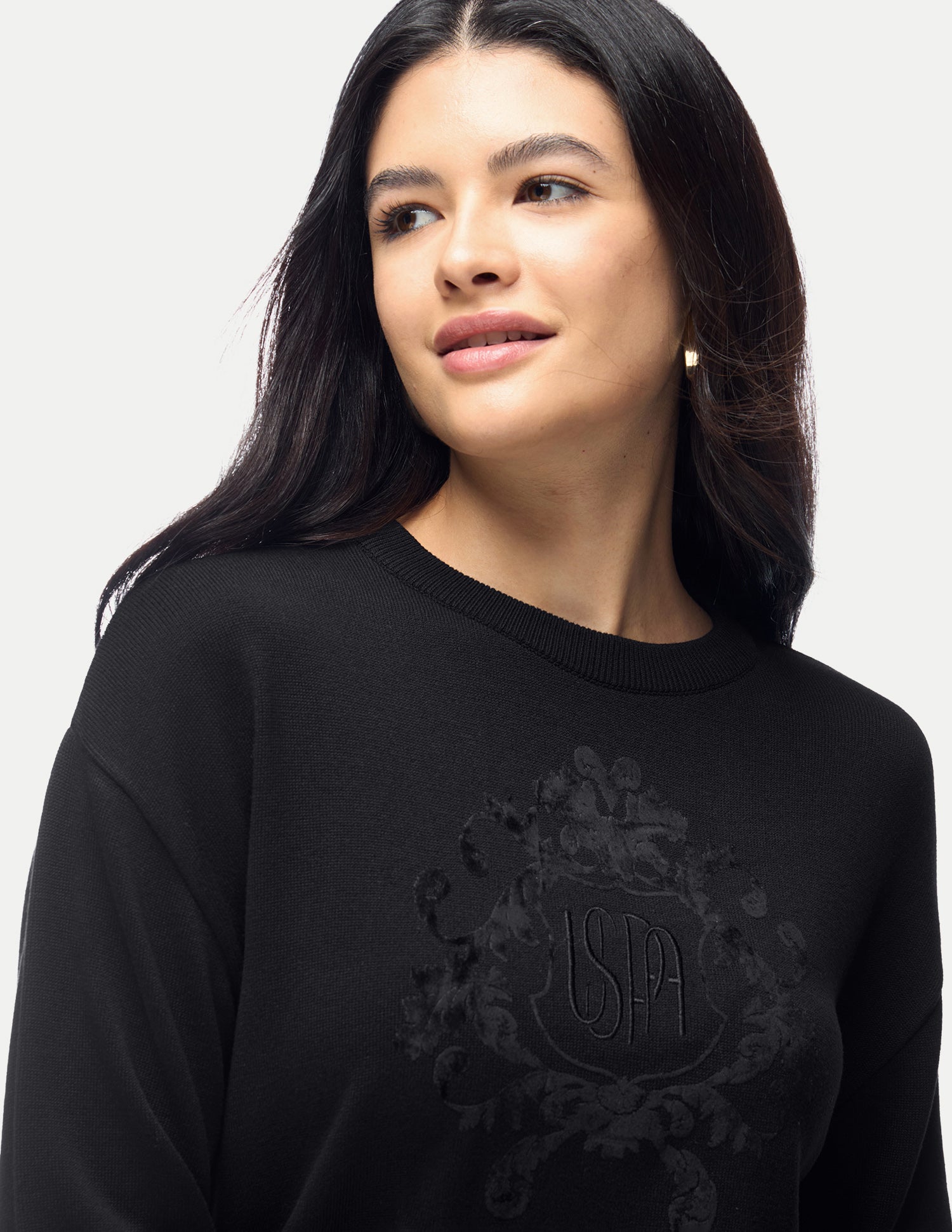 Brand Embroidered Regular Fit Sweater Black - U.S. Polo Assn. India | Large