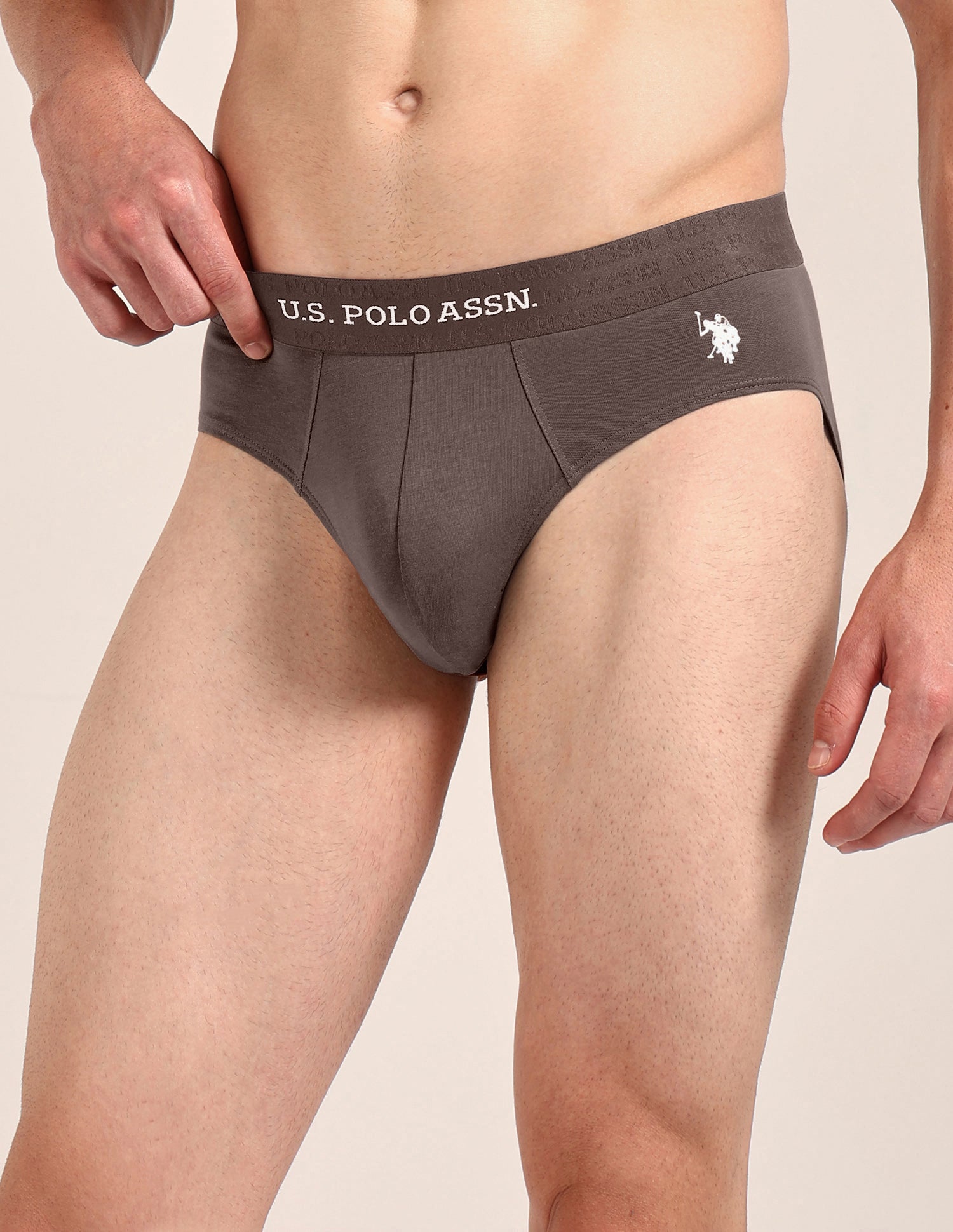 Antibacterial Dual Layered OEB21 Brief - Pack Of 2 Oatmeal/Mulch - U.S. Polo Assn. India | Large