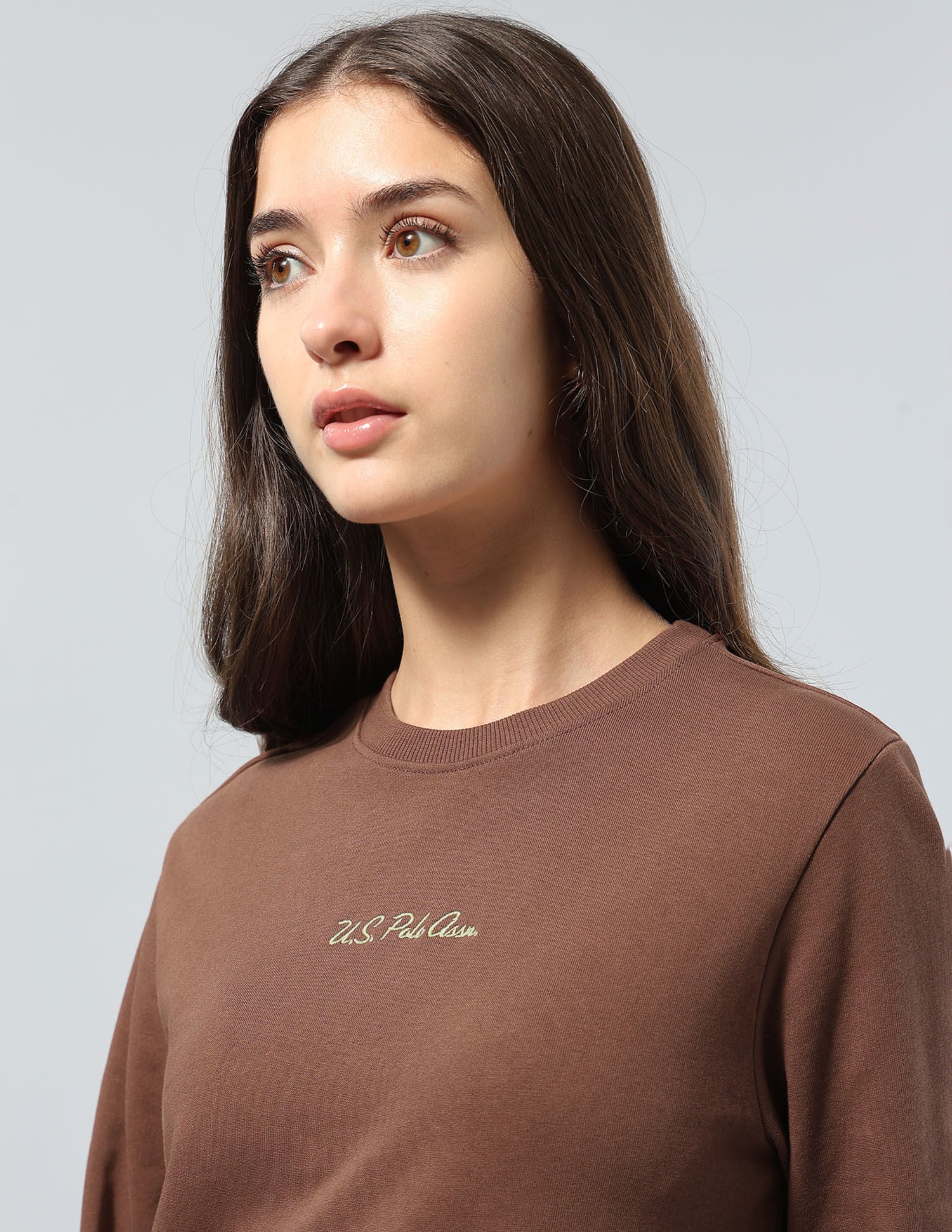 Solid Regular Fit Sweatshirt Brown - U.S. POLO ASSN. | Large