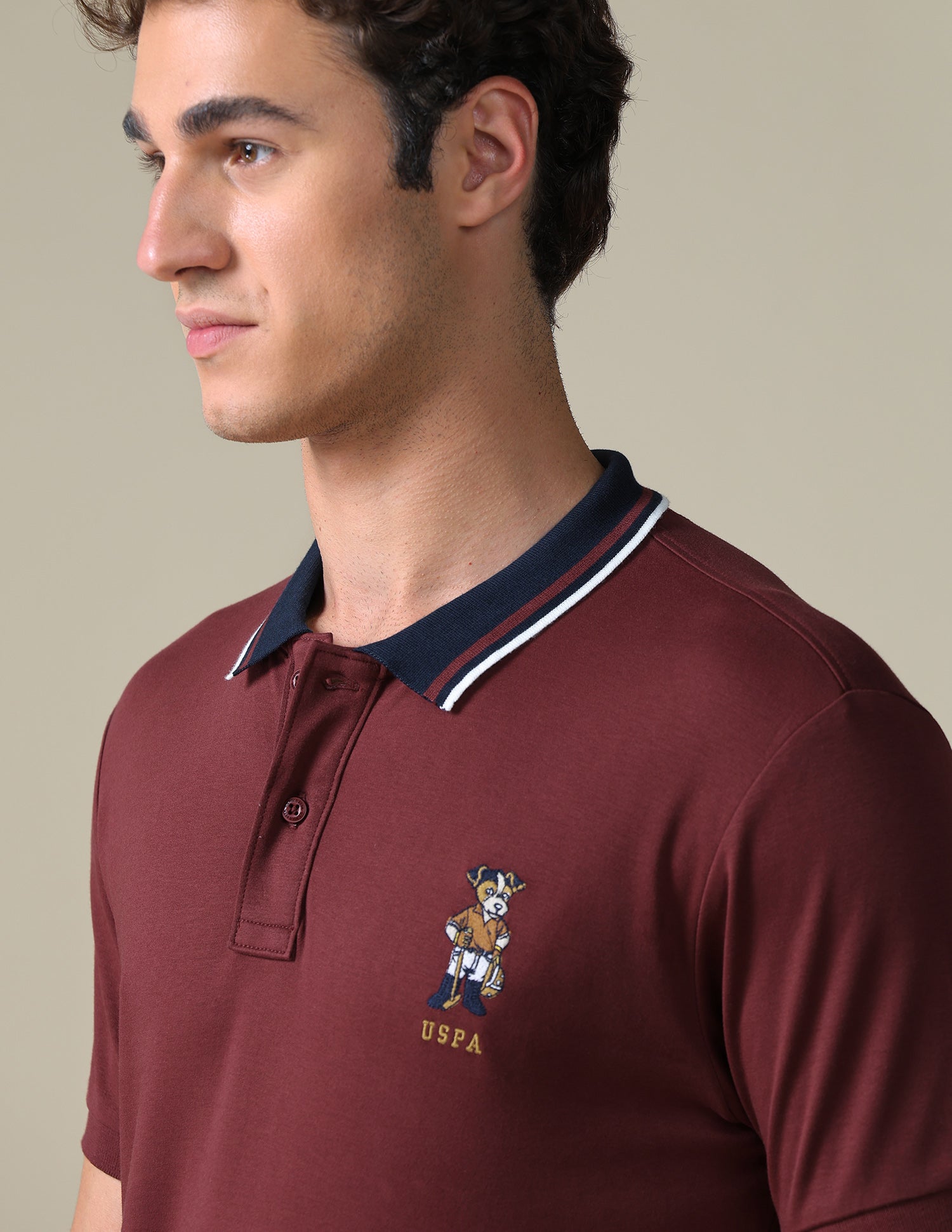 Regular Fit Solid Polo Shirt Wine - U.S. Polo Assn. India | Large