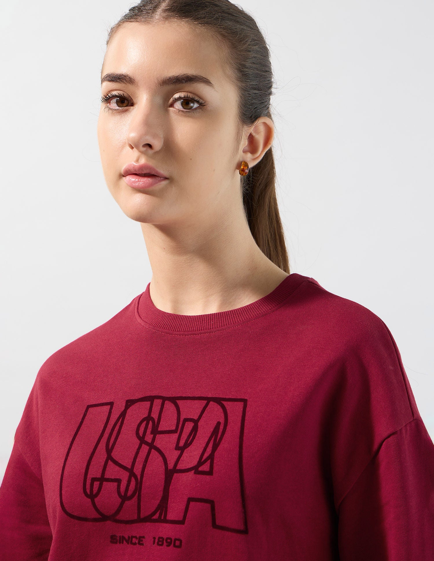 Relaxed Fit Brand Printed Sweatshirt Dark Red - U.S. POLO ASSN. | Large