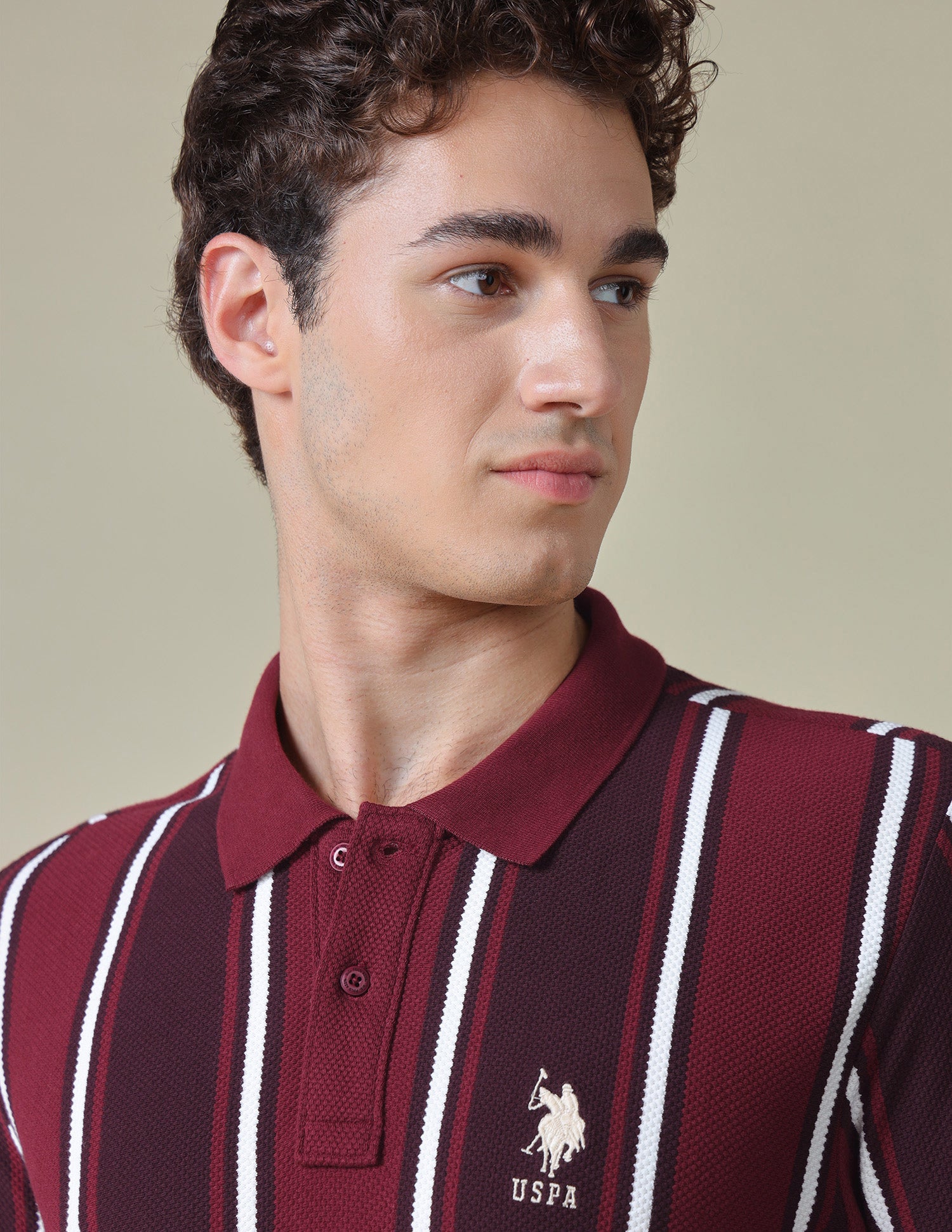 Vertical Striped Regular Fit Polo Shirt Purple - U.S. Polo Assn. India | Large