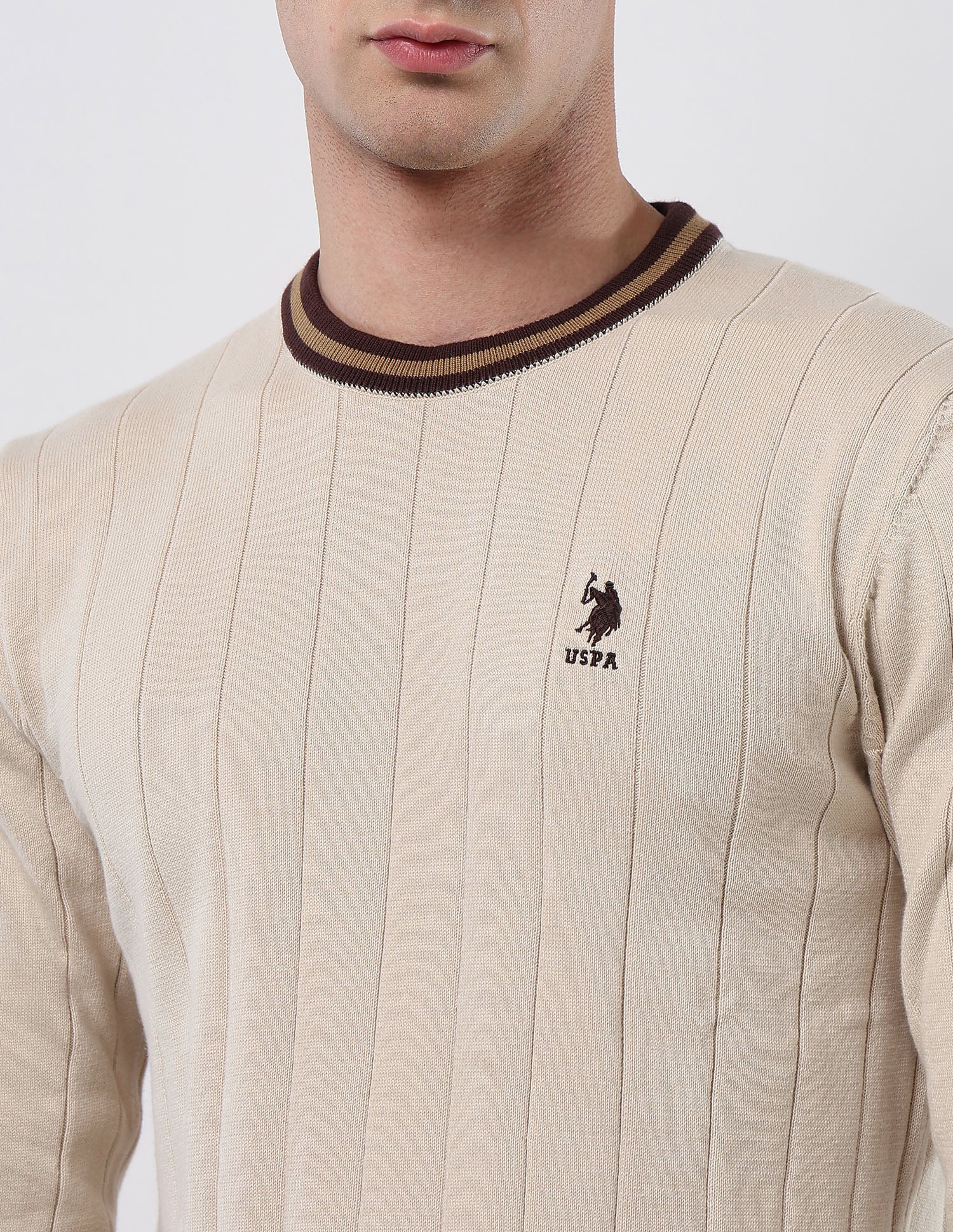 Vertical Striped Patterned Knit Sweater Beige - U.S. POLO ASSN. | Large