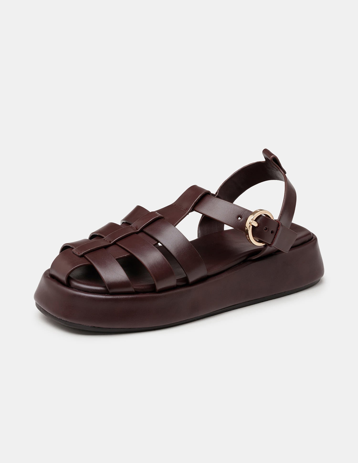 Women Multi Strap Nara Buckle Sandals Dark Brown - U.S. Polo Assn. India | Large