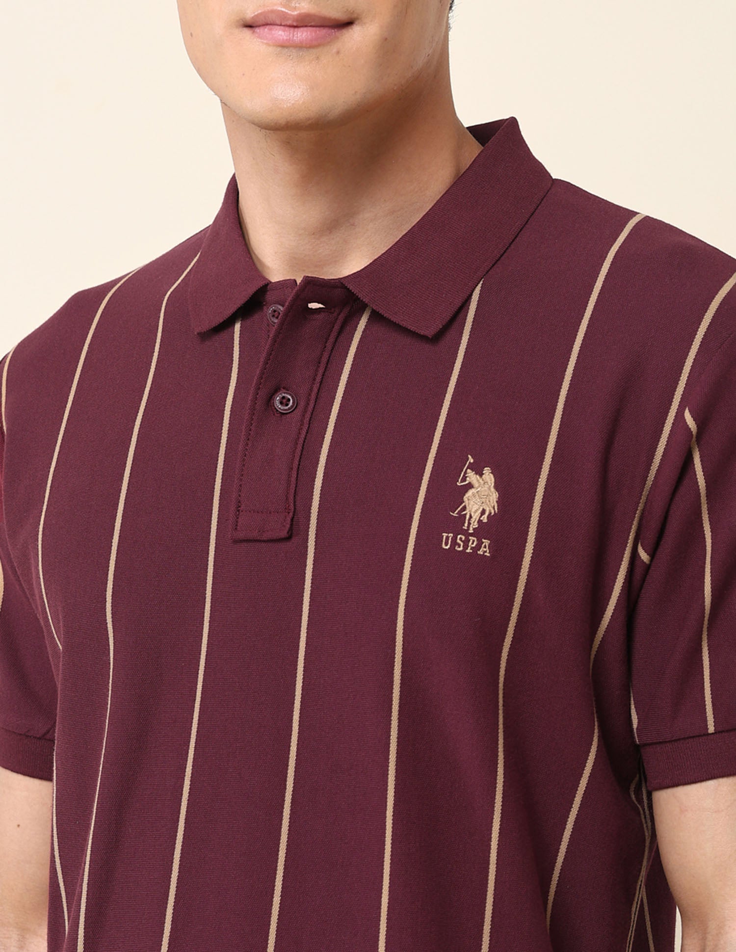 Vertical Striped Classic Polo Shirt Maroon - U.S. Polo Assn. India | Large