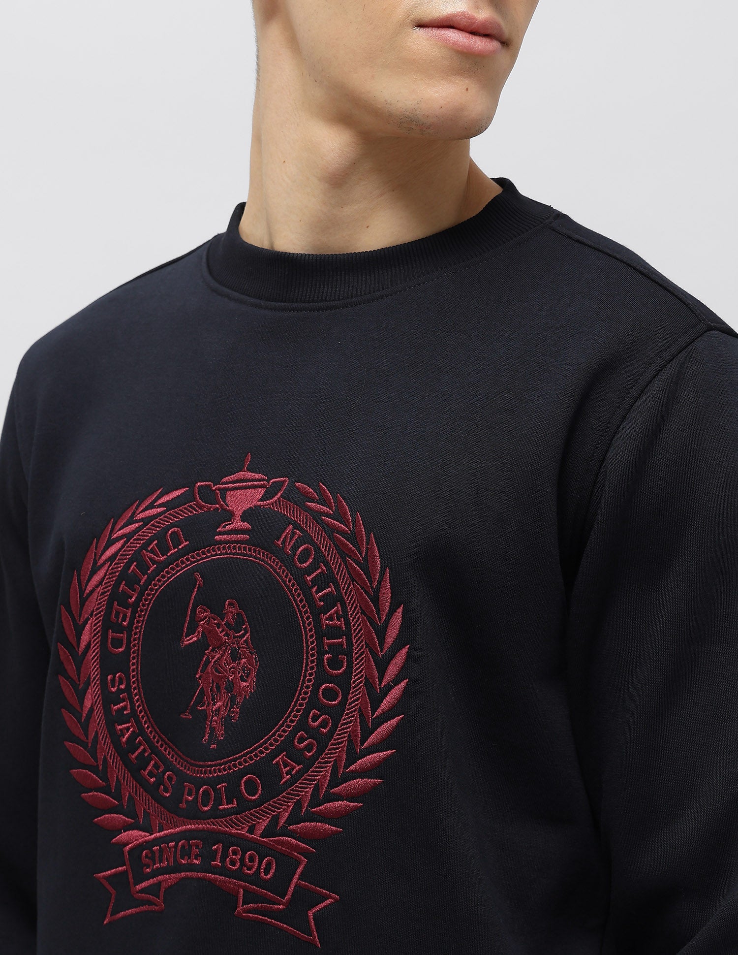 Graphic Brand Embroidered Sweatshirt Navy - U.S. POLO ASSN. | Large
