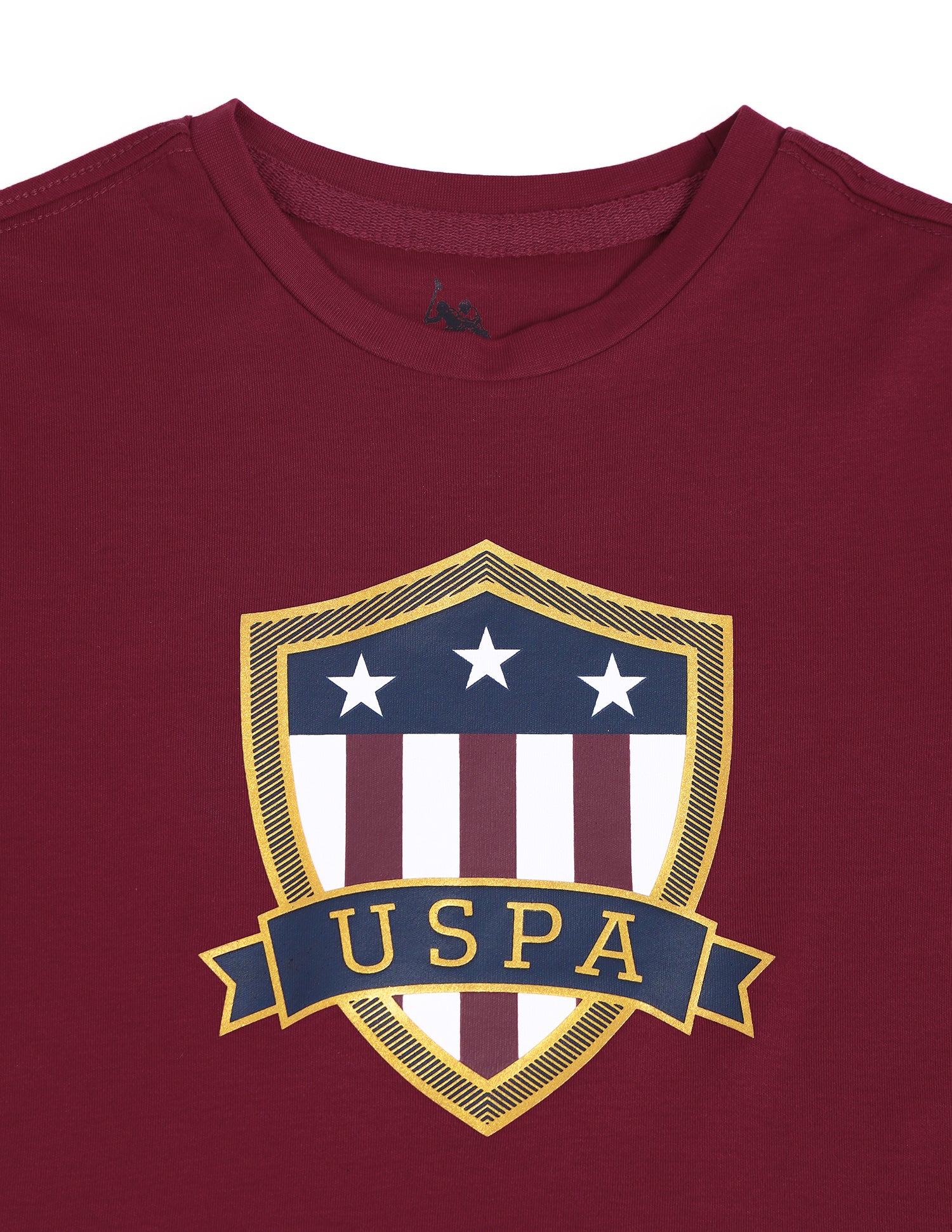 Boys Brand Printed T-Shirt Maroon - U.S. Polo Assn. India | Large