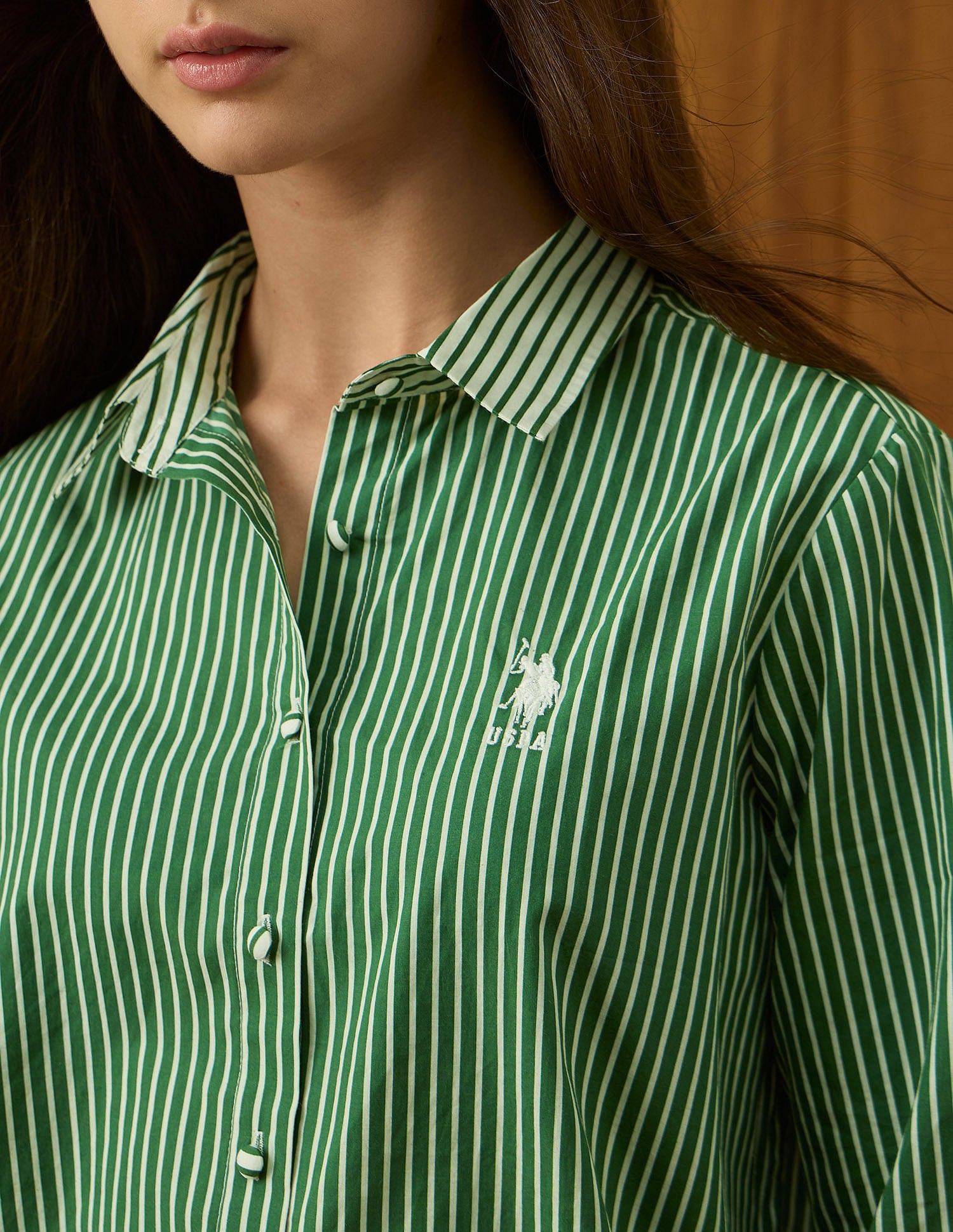 Regular Fit Striped Shirt Green - U.S. Polo Assn. India | Large