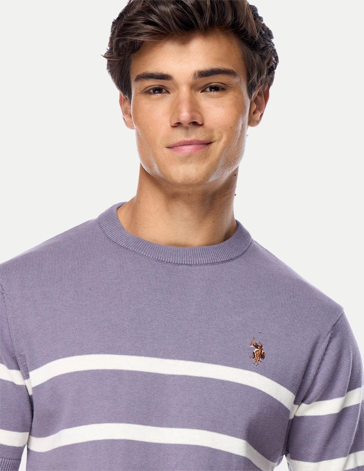 Horizontal Striped Regular Fit Sweater Purple - U.S. Polo Assn. India | Large