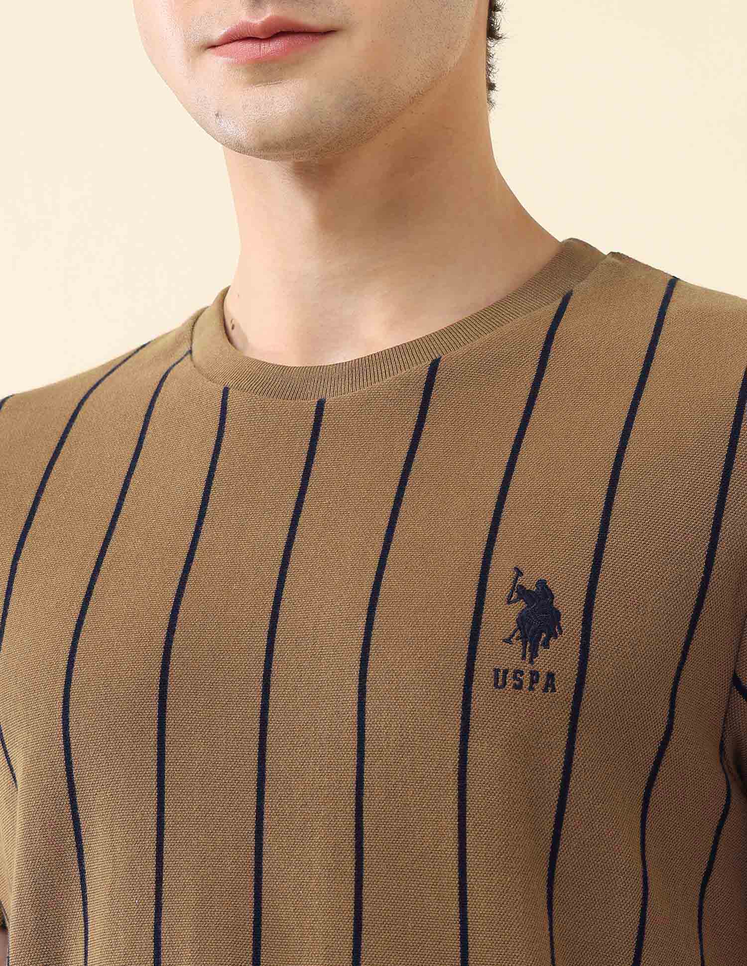 Vertical Striped Pure Cotton Gold Cup T-Shirt Brown - U.S. Polo Assn. India | Large