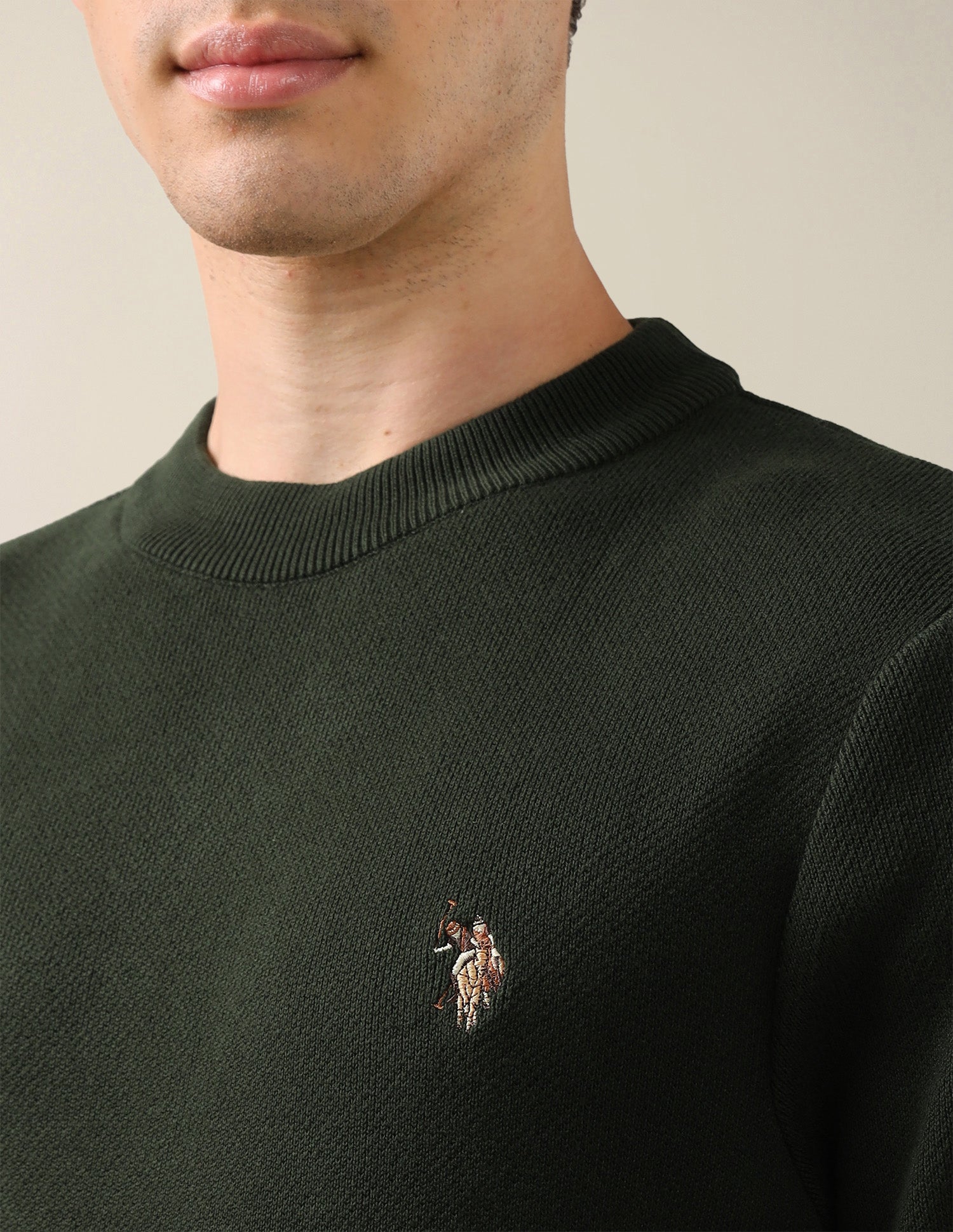 Solid Regular Fit Sweater Dark Green - U.S. Polo Assn. India | Large