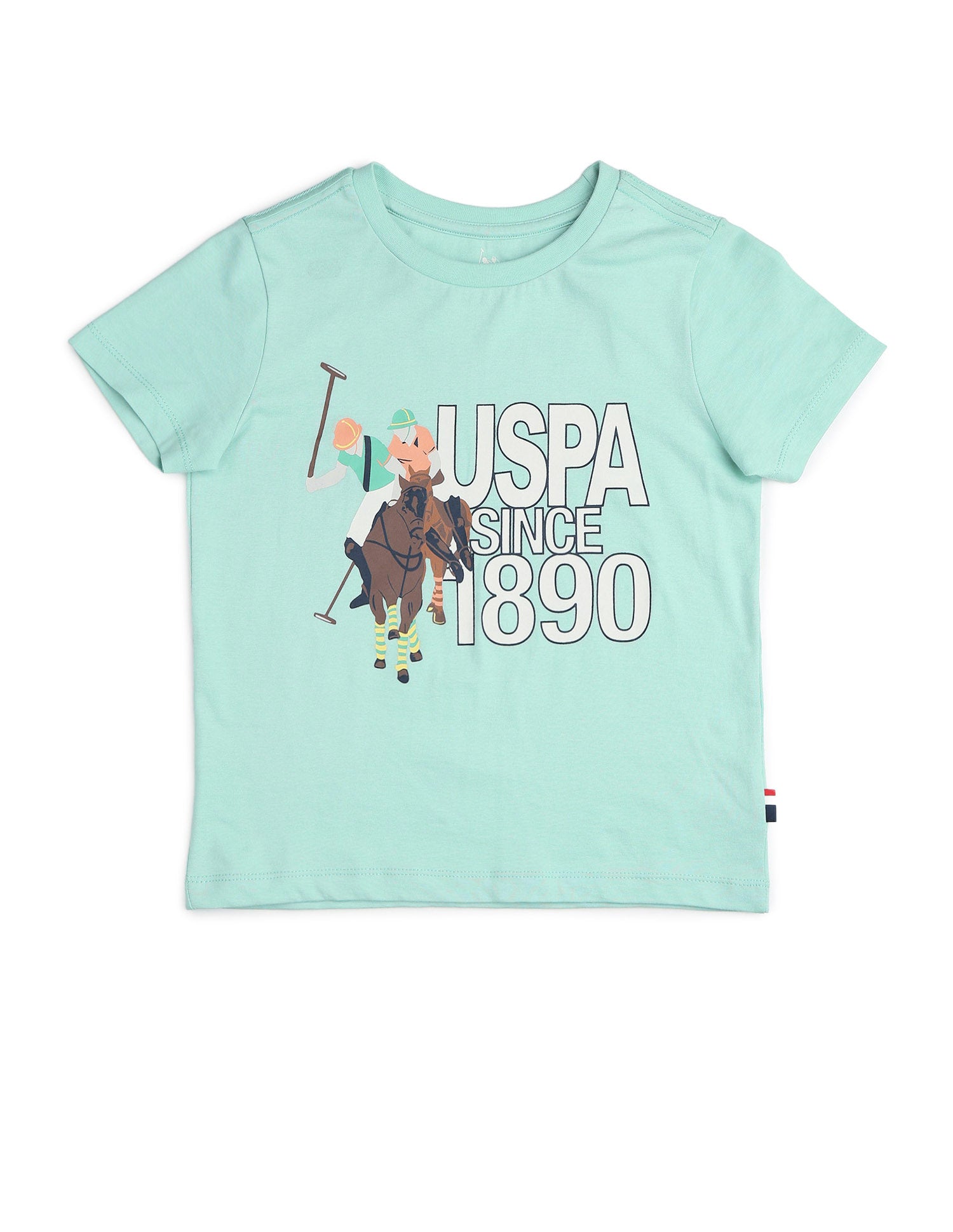 Boys Graphic Brand Printed Regular Fit T Shirt Mint - U.S. POLO ASSN. | Large
