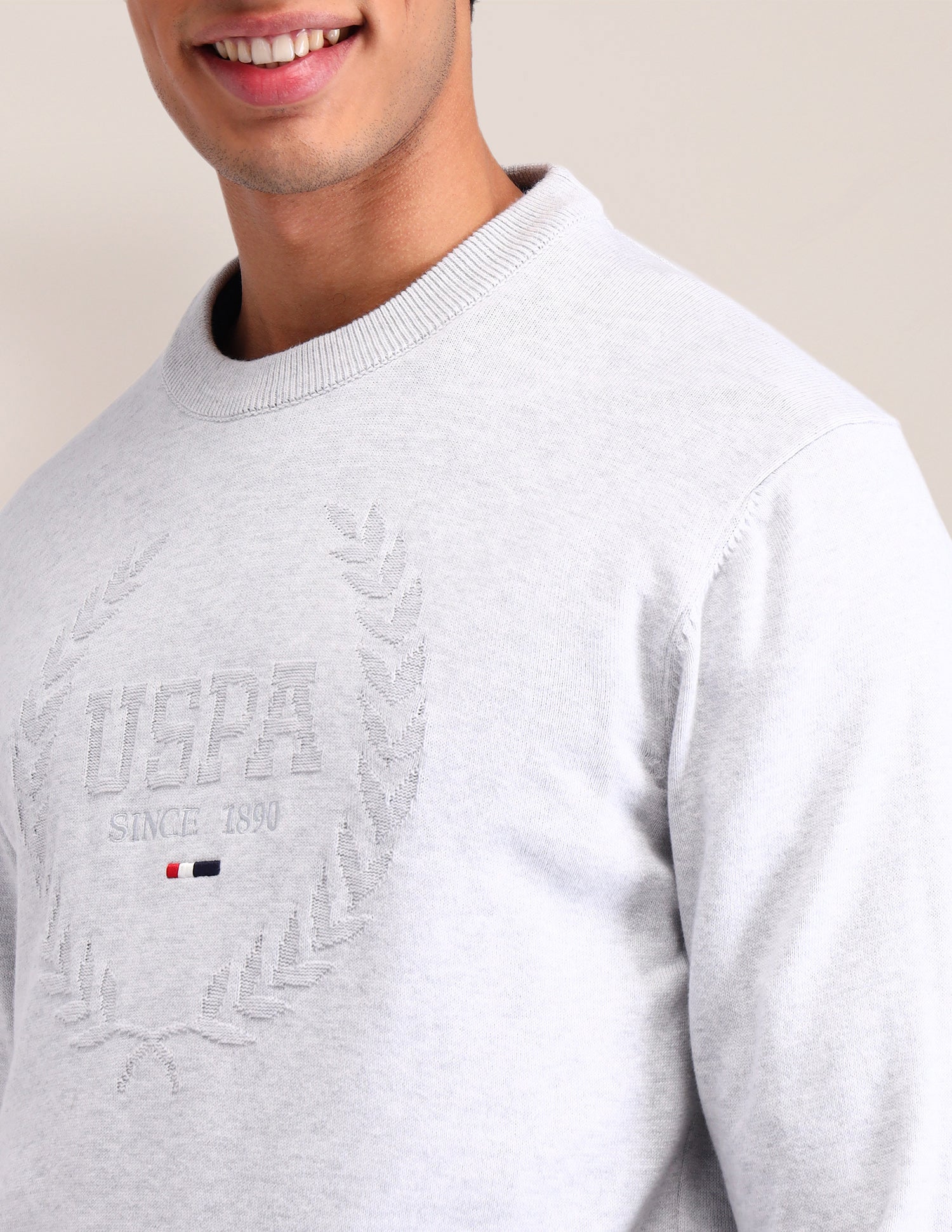 Brand Printed Regular Fit Sweater Beige - U.S. Polo Assn. India | Large