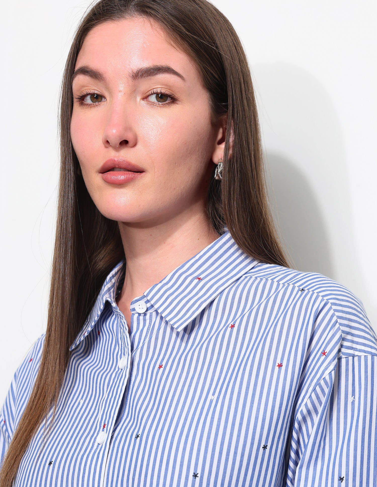 Vertical Striped Shirt With Embroidery Blue - U.S. Polo Assn. India | Large
