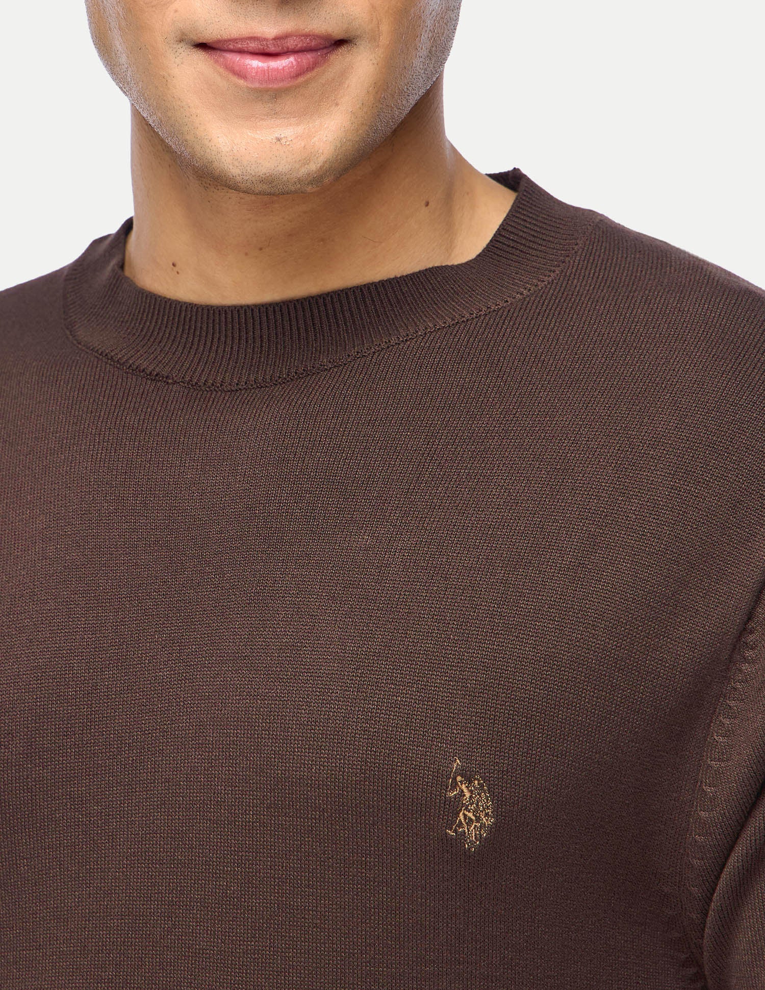 Solid Slim Fit T-Shirt Dark Brown - U.S. Polo Assn. India | Large