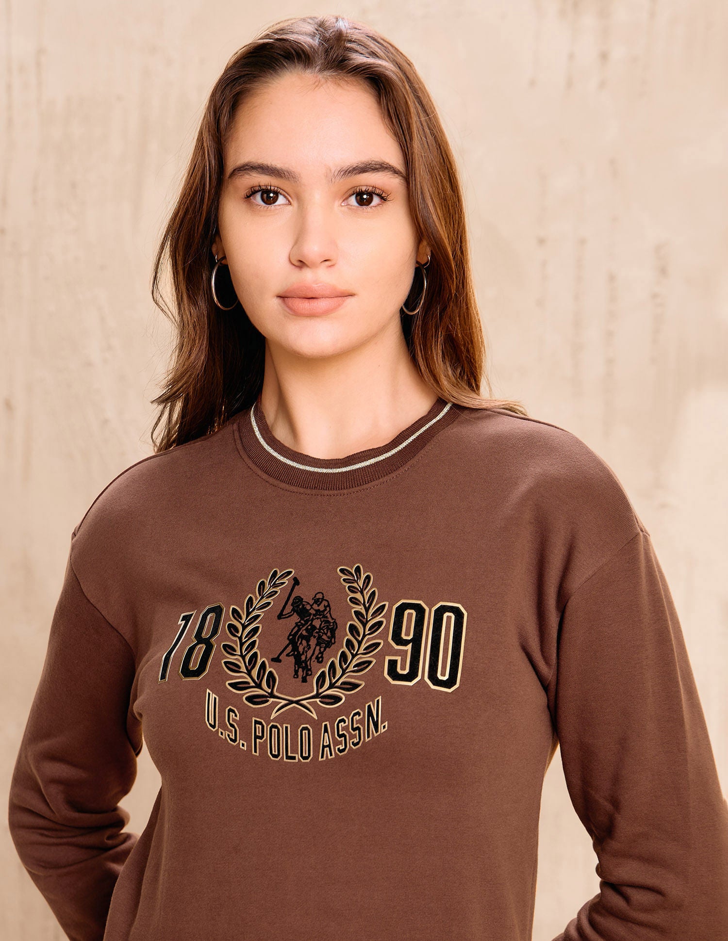 Brand Printed Regular Fit  Sweater Brown - U.S. POLO ASSN. | Large