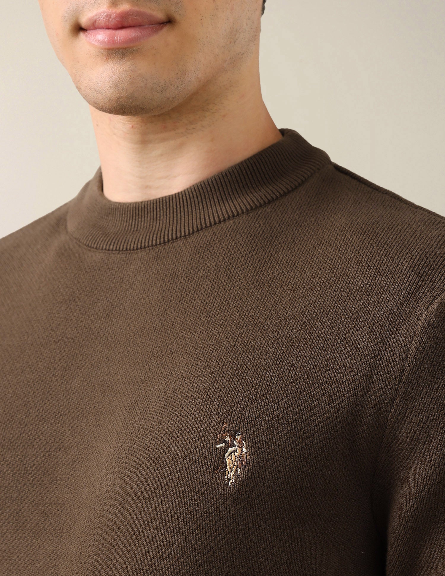Solid Regular Fit Sweater Brown - U.S. Polo Assn. India | Large