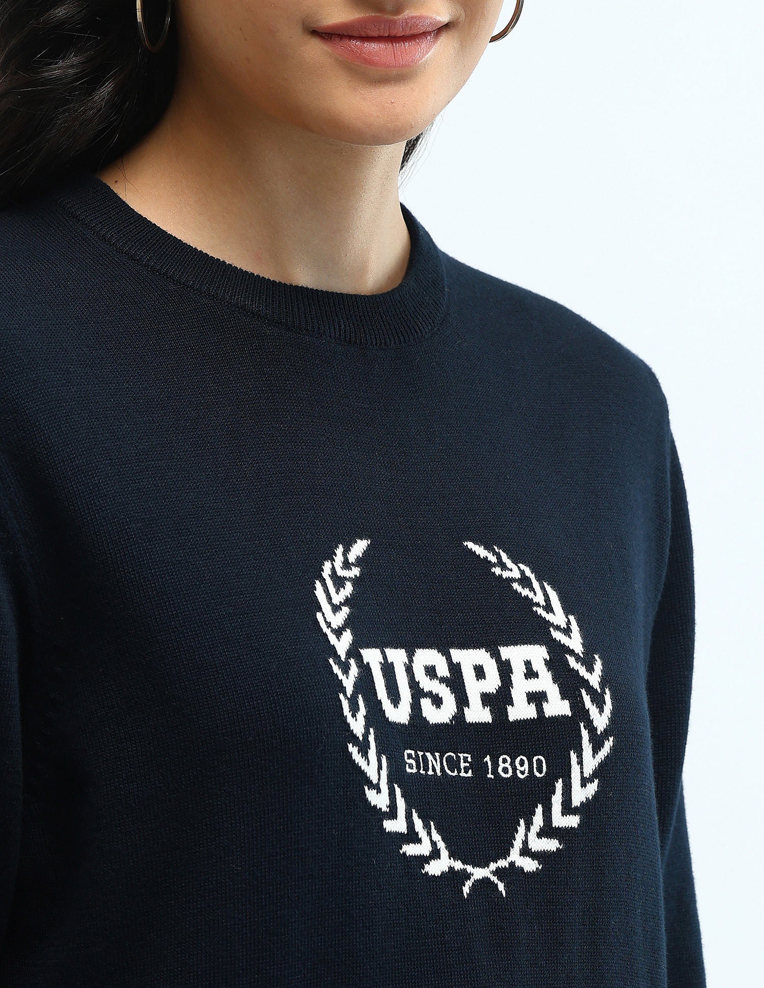 Regular Fit Cotton Sweater Navy - U.S. POLO ASSN. | Large