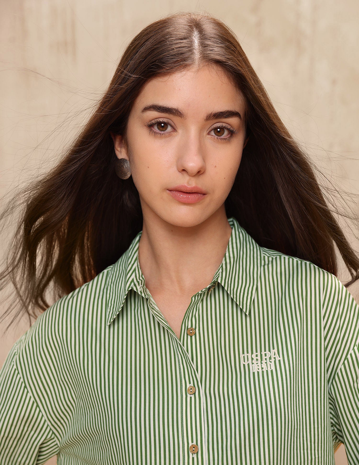 Vertical Striped Regular Fit Shirt Light Green - U.S. POLO ASSN. | Large