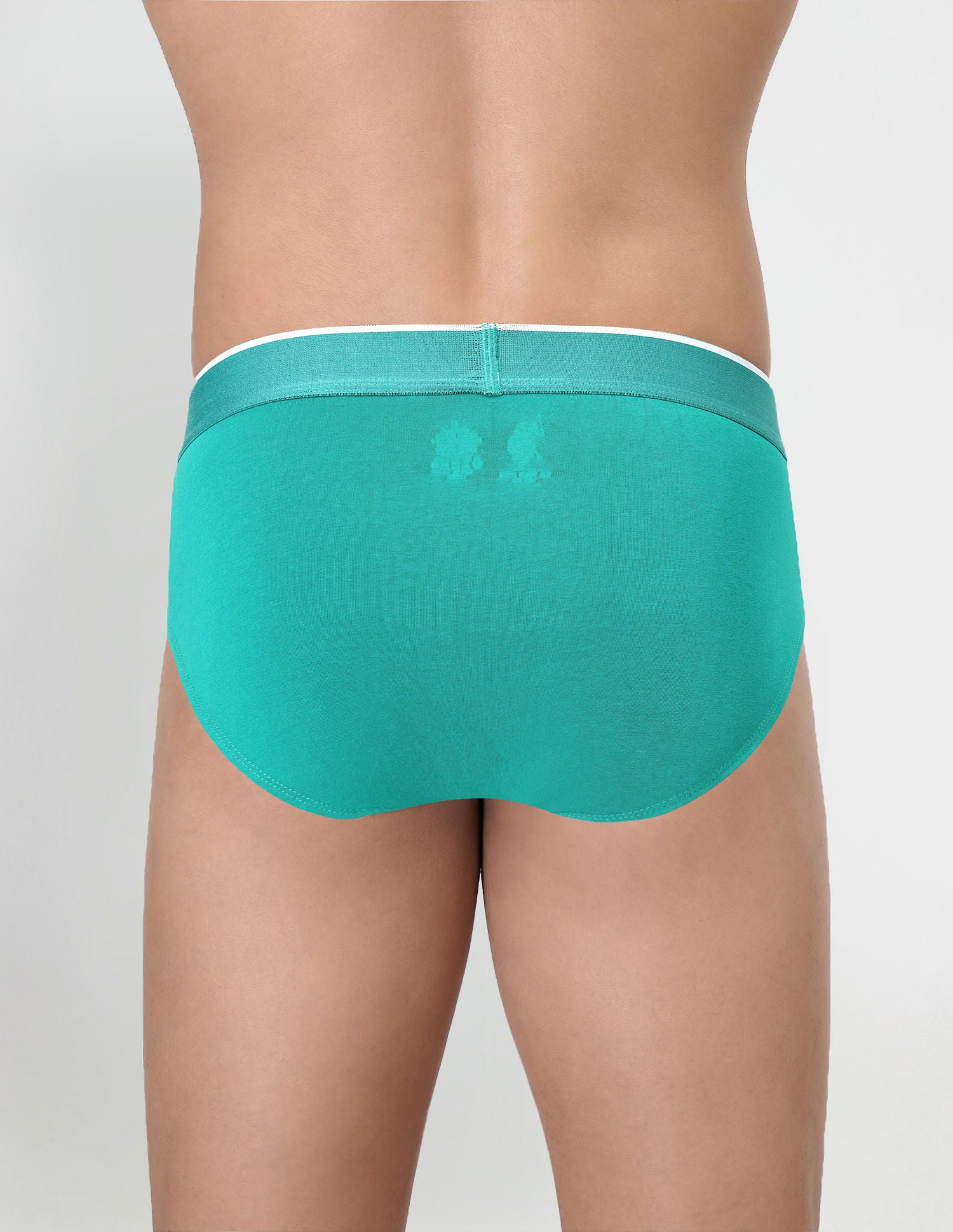 Cotton Stretch Antibacterial EB004 Briefs - Pack Of 2 Black and Aqua - U.S. POLO ASSN. | Large