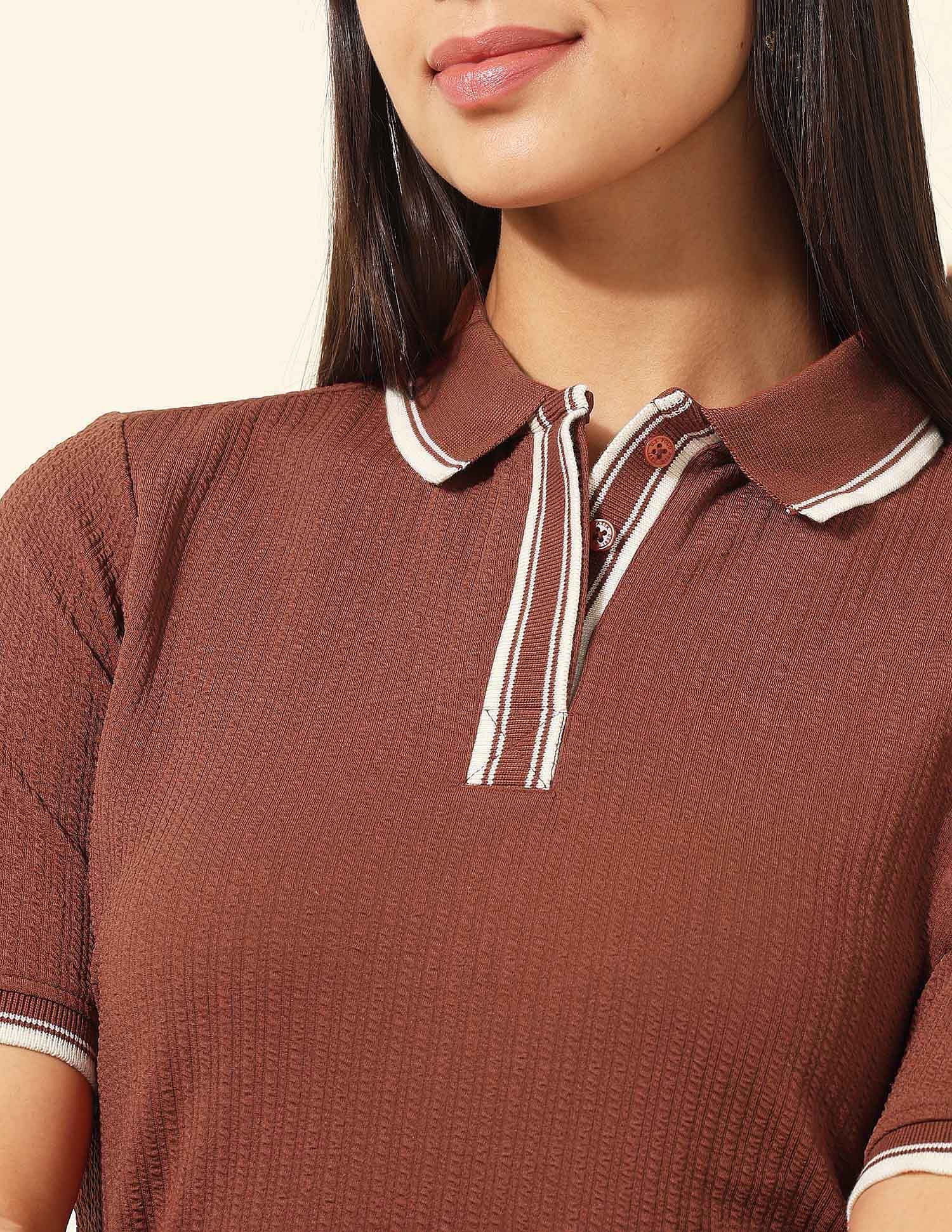 Regular Fit Solid Polo Shirt Brown - U.S. POLO ASSN. | Large