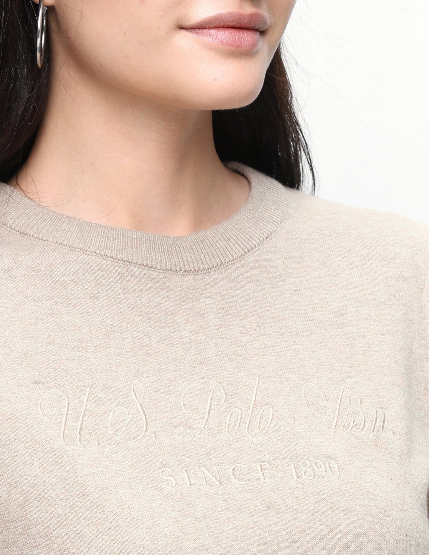 Brand Embroidered Regular Fit Sweater Beige - U.S. Polo Assn. India | Large
