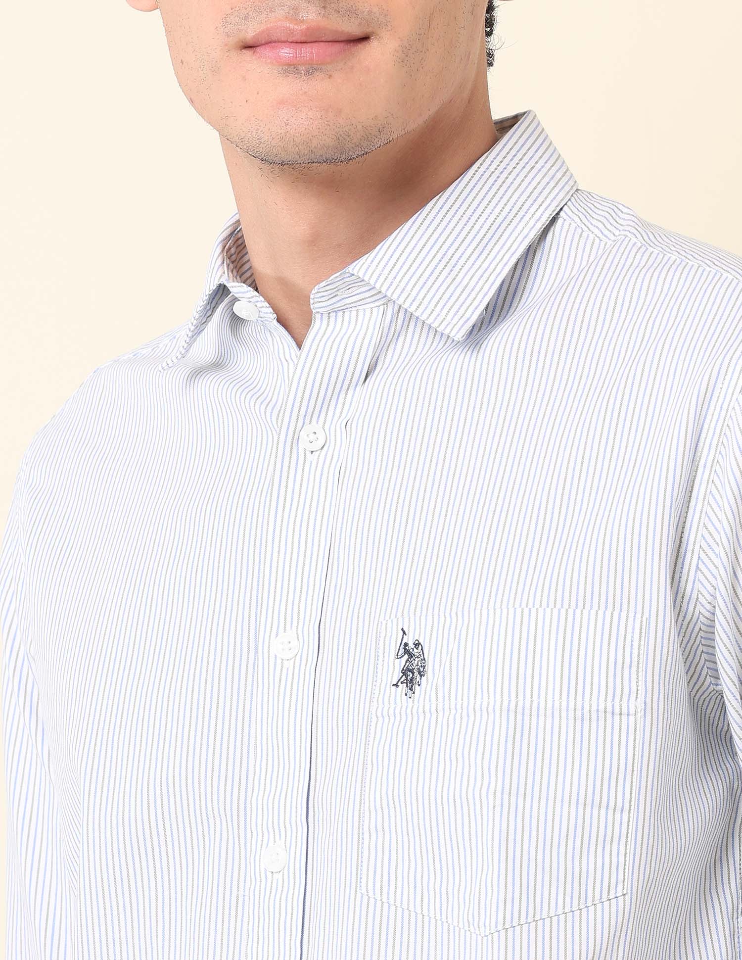 Vertical Striped Pure Cotton Shirt Blue - U.S. Polo Assn. India | Large