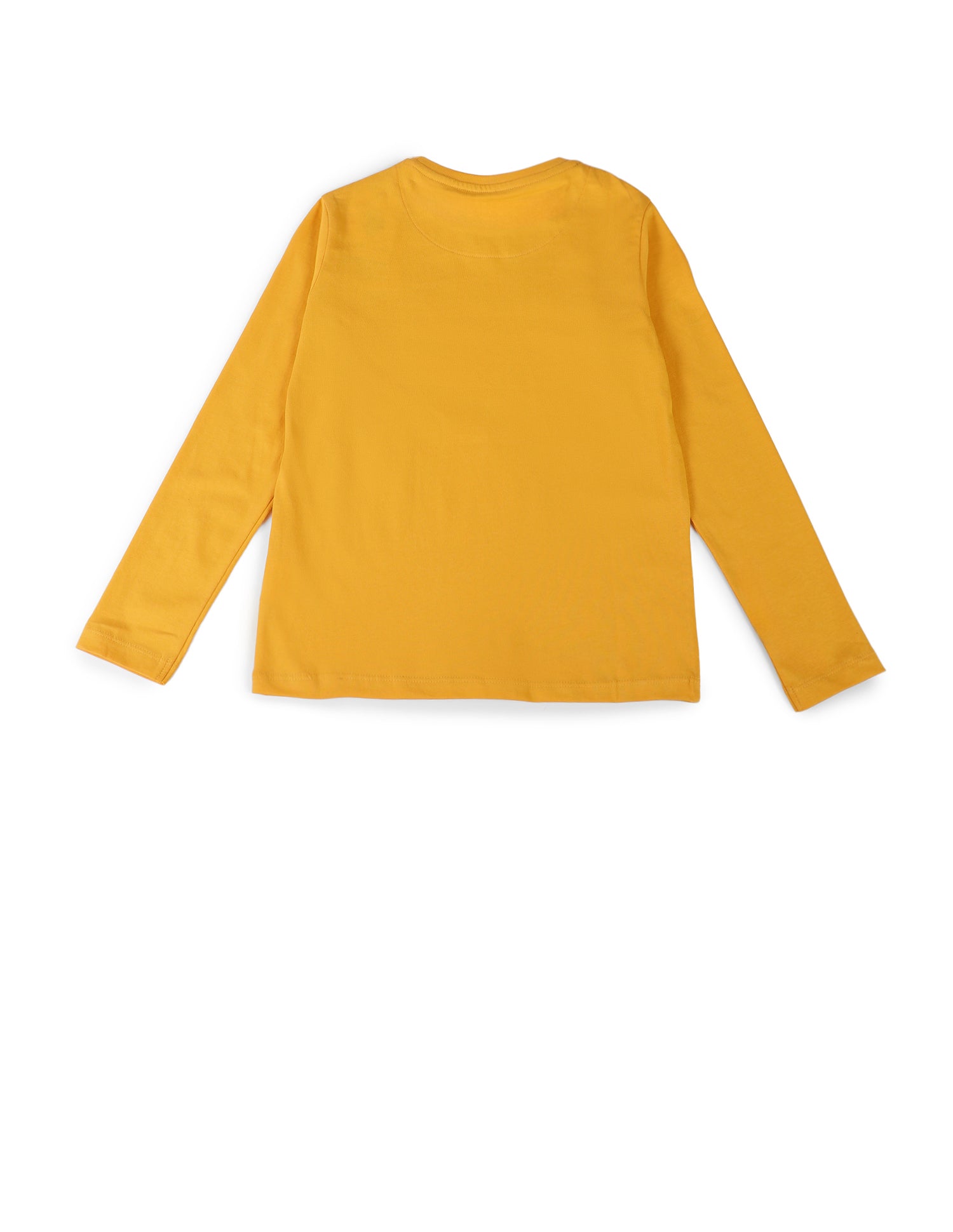 Boys Cotton Regular Fit T-Shirt Yellow - U.S. POLO ASSN. | Large