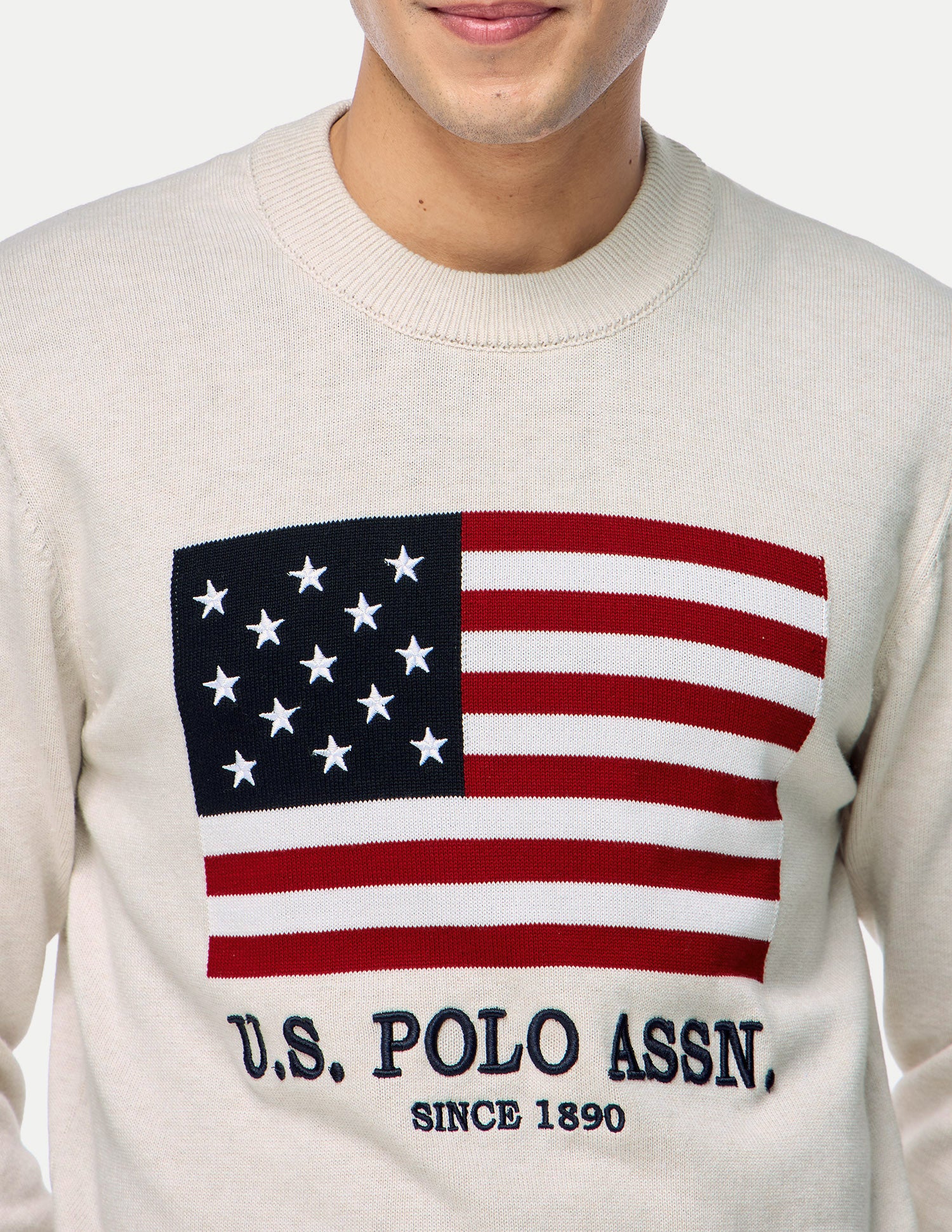 Graphic Brand Printed Slim Fit Sweater Beige - U.S. Polo Assn. India | Large