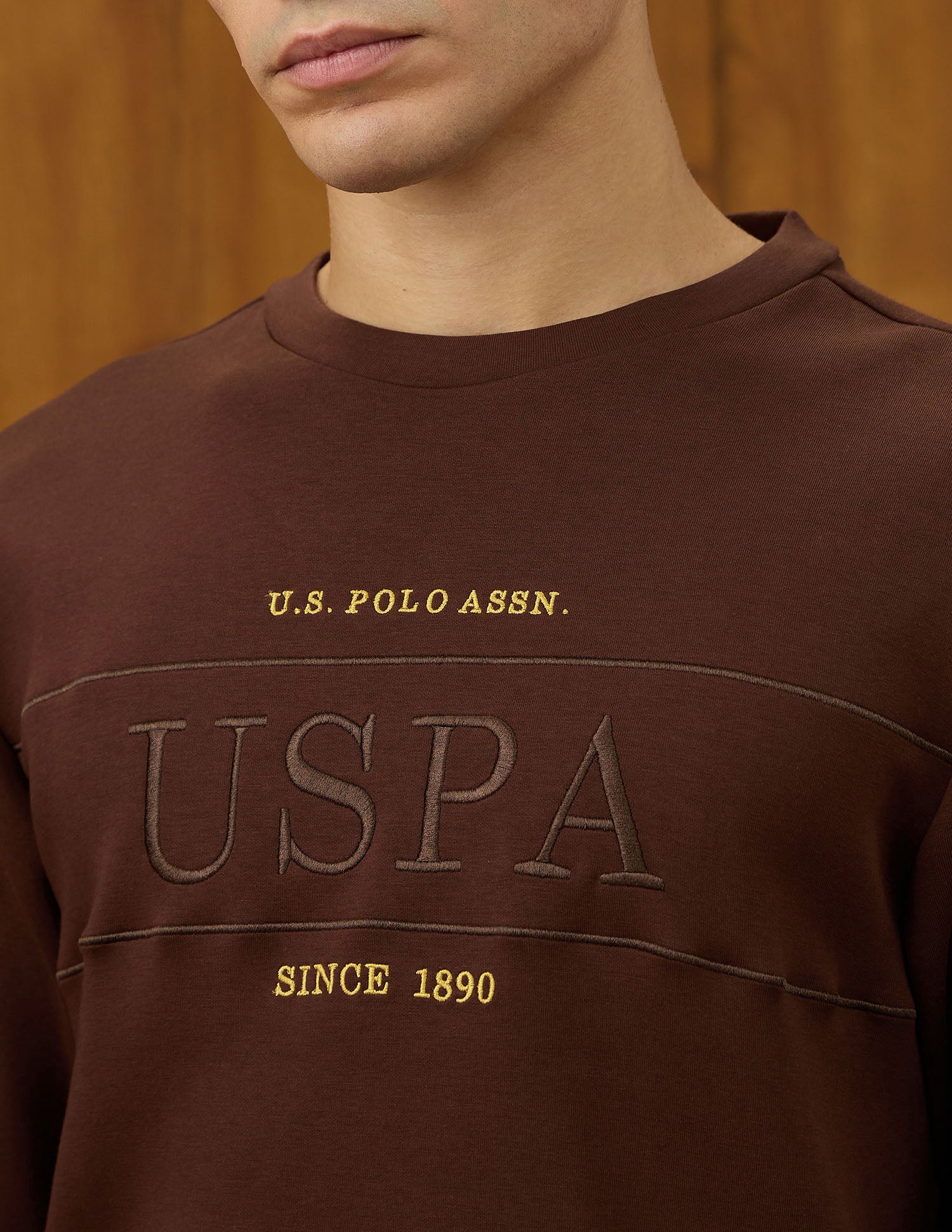 Brand Embroidered Equestrian Aisle Theater Sweatshirt Dark Brown - U.S. POLO ASSN. | Large