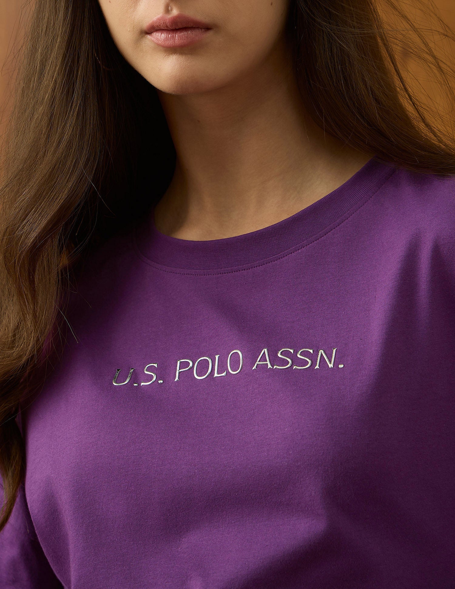 Brand Printed Relaxed Fit T-Shirt Wine - U.S. POLO ASSN. | Large