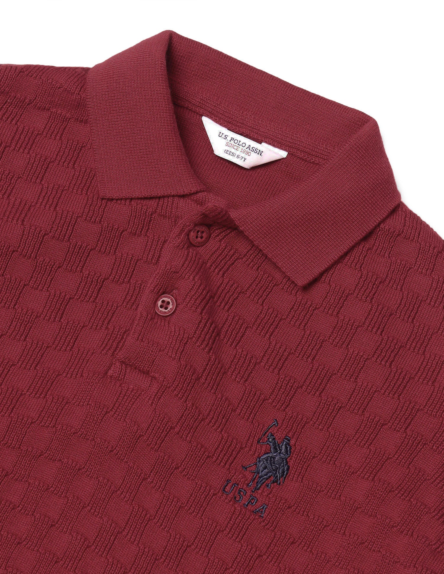 Boys Textured Regular Fit Sweater Maroon - U.S. POLO ASSN. | Large