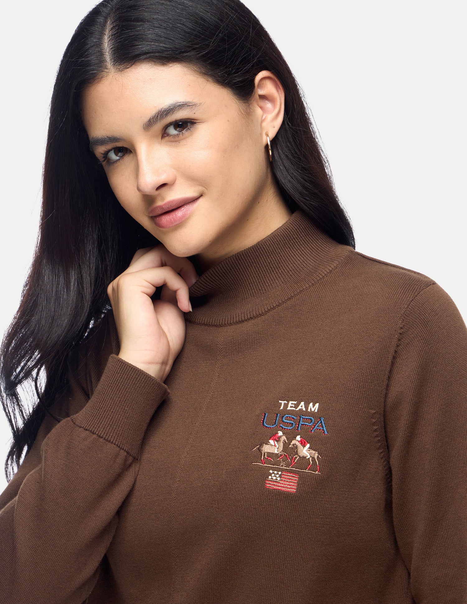 Solid Regular Fit Sweater Brown - U.S. Polo Assn. India | Large