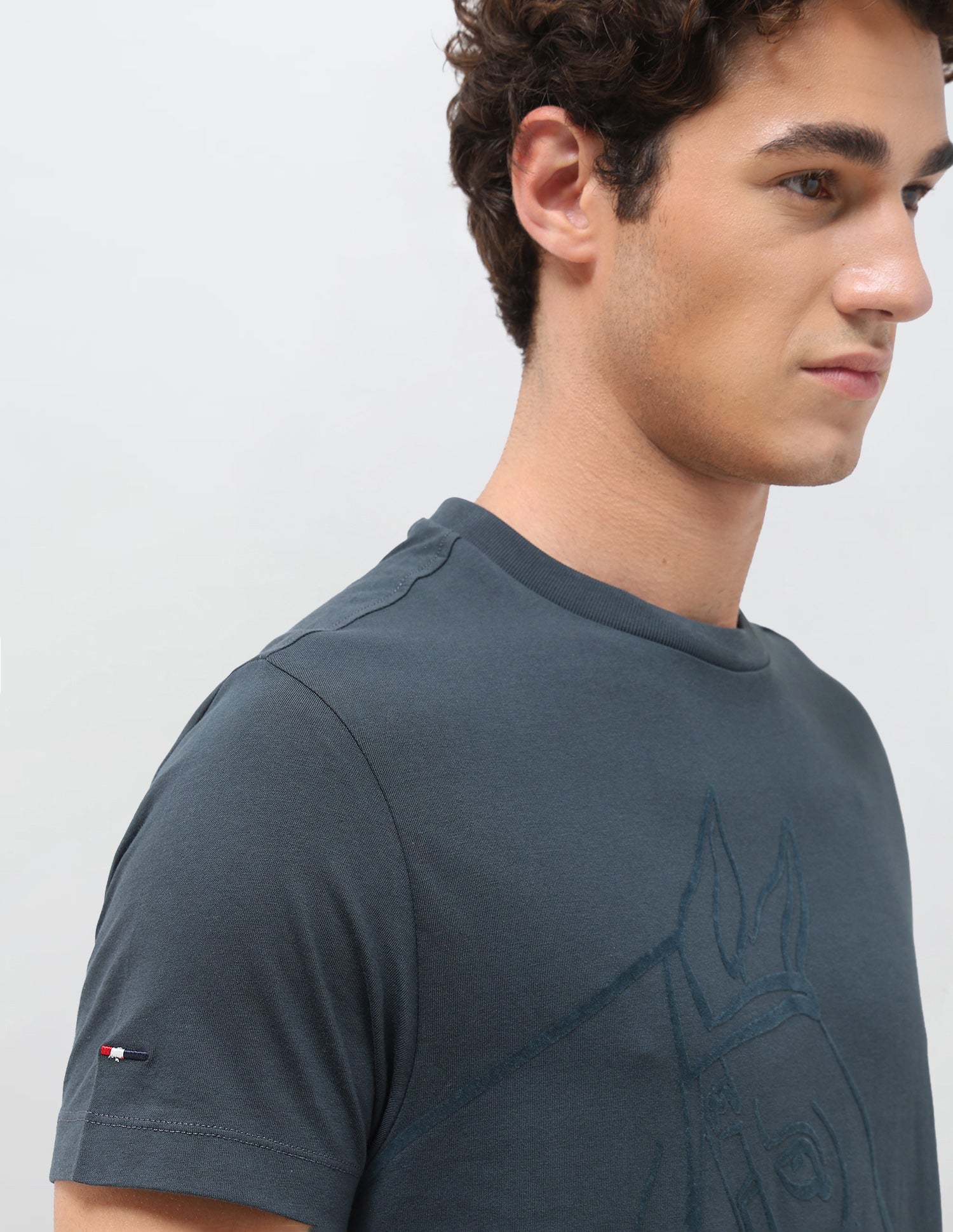 Graphic Printed Slim Fit T-Shirt Teal - U.S. Polo Assn. India | Large