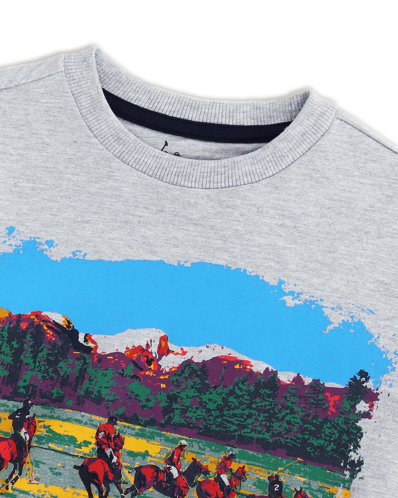 Boys Graphic Printed Sweatshirt Nude - U.S. Polo Assn. India | Large