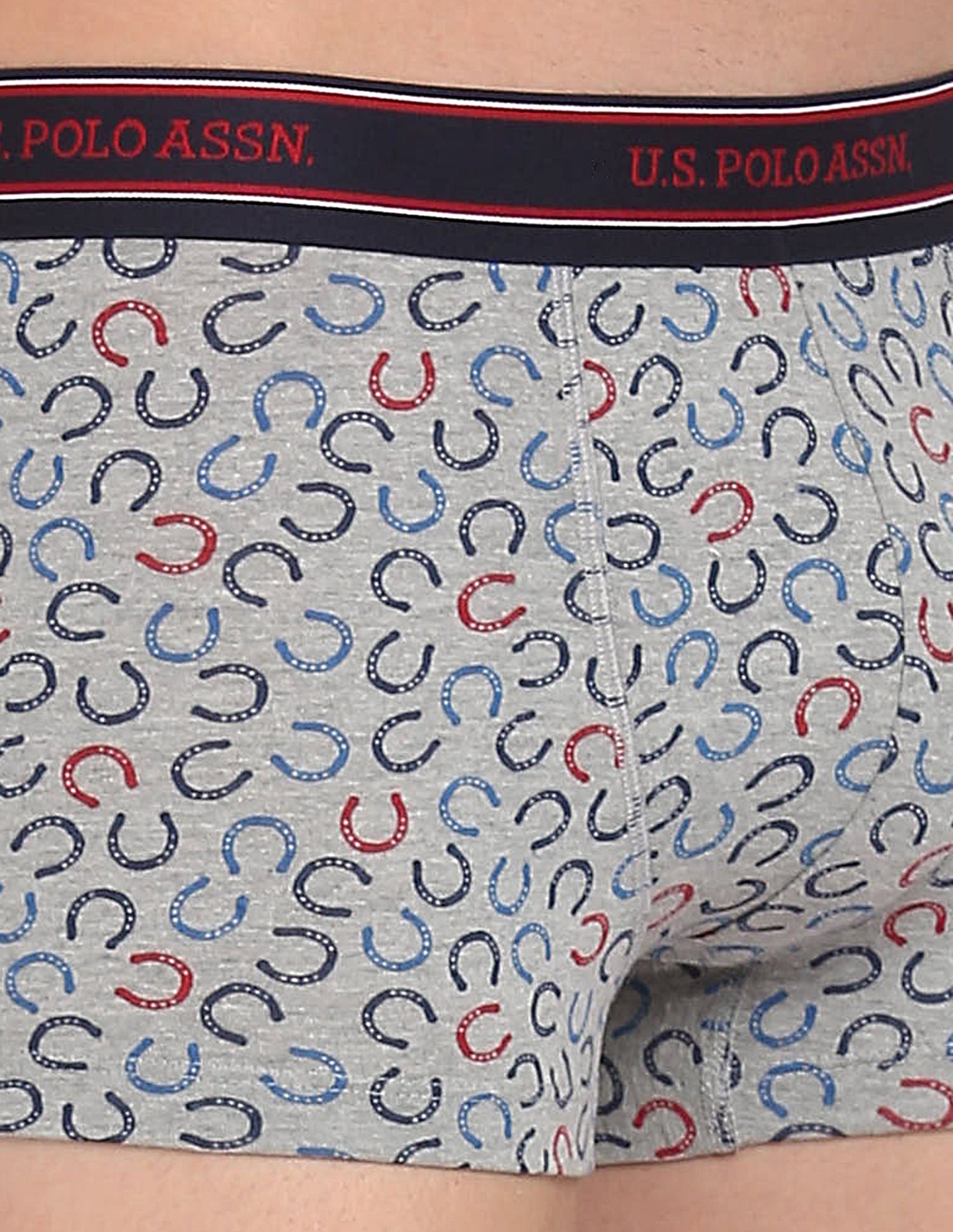 All Over Print Ribbed Jersey I616 Trunks - Pack Of 1 Grey - U.S. Polo Assn. India | Large