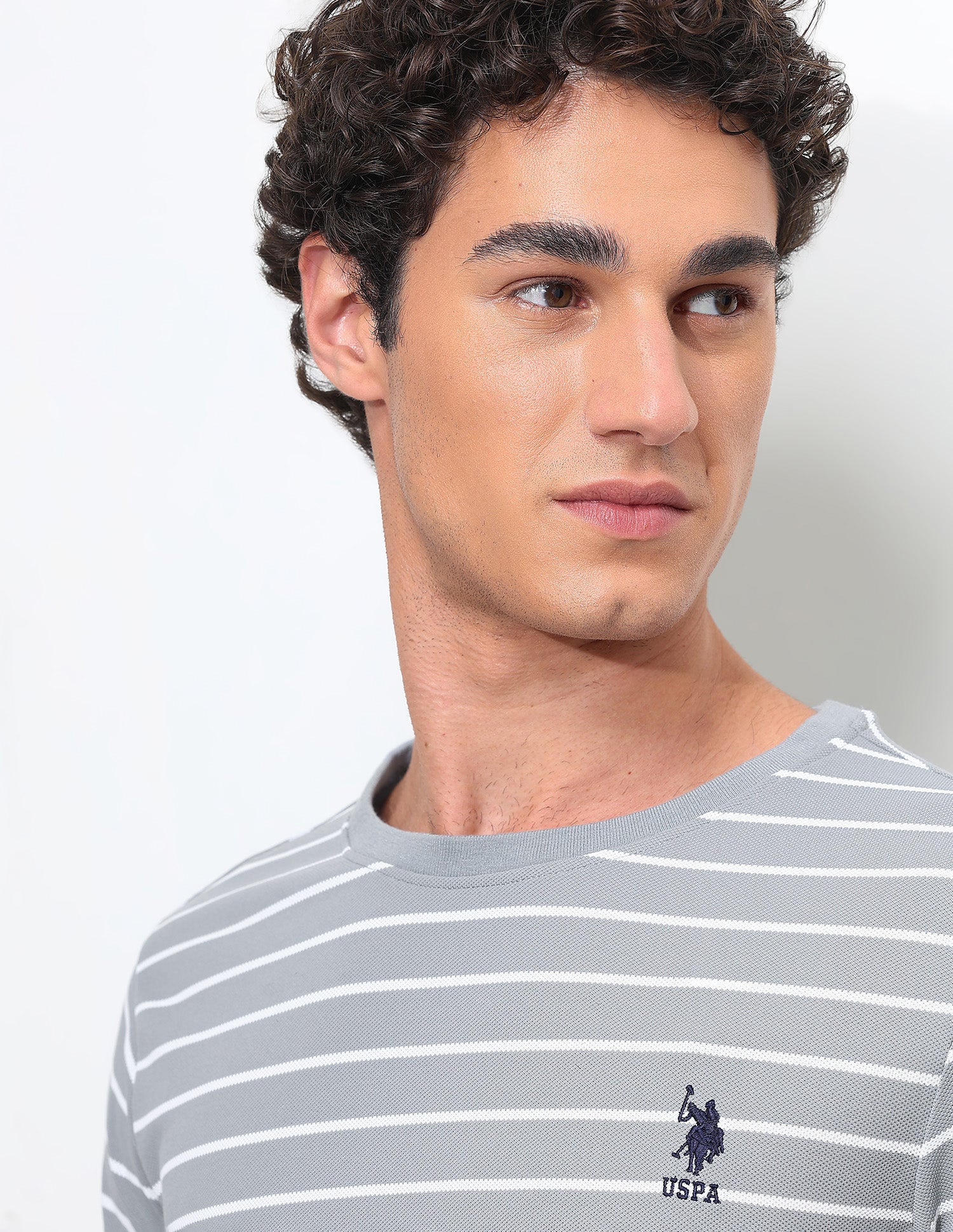 Horizontal Striped Slim Fit T-Shirt Grey - U.S. Polo Assn. India | Large