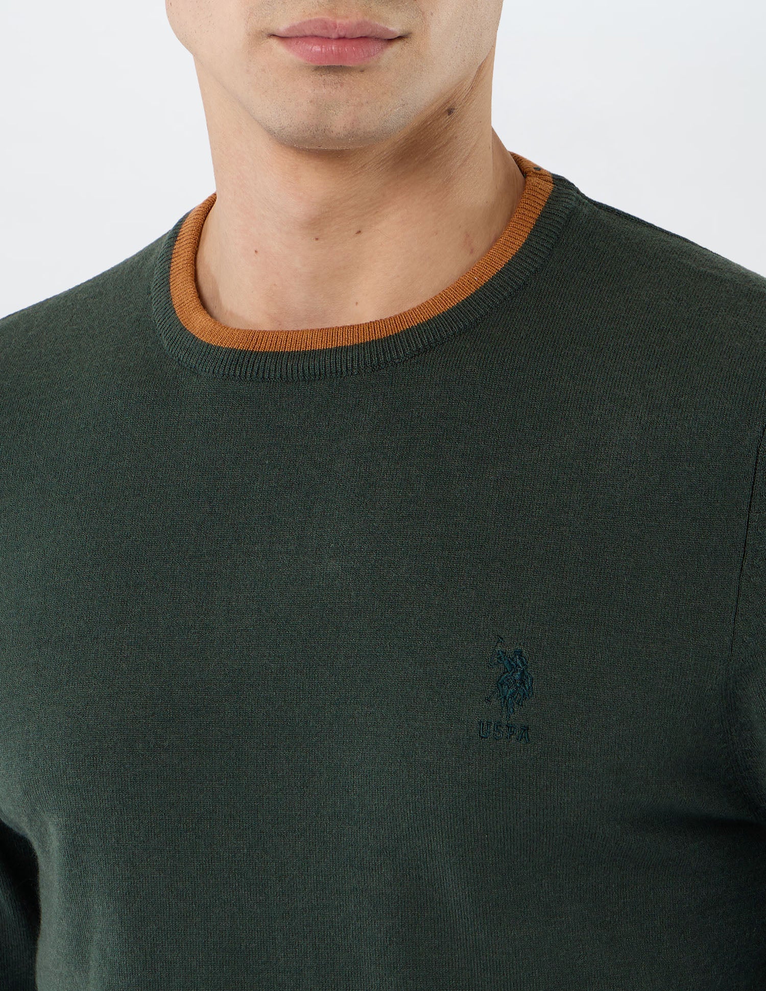 Solid Regular Fit Sweater Green - U.S. POLO ASSN. | Large