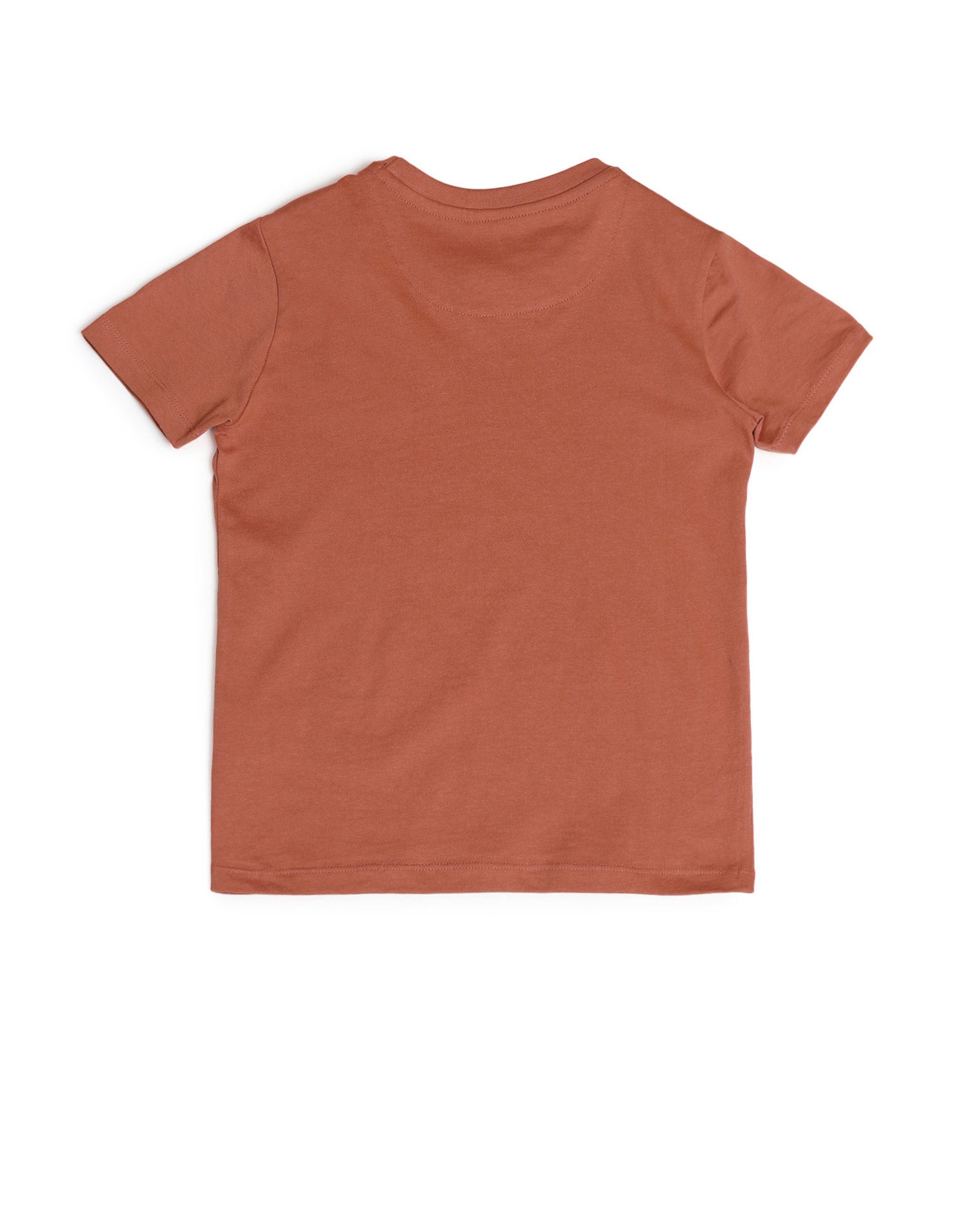 Boys Round Neck Graphic Printed T-Shirt Rust - U.S. POLO ASSN. | Large