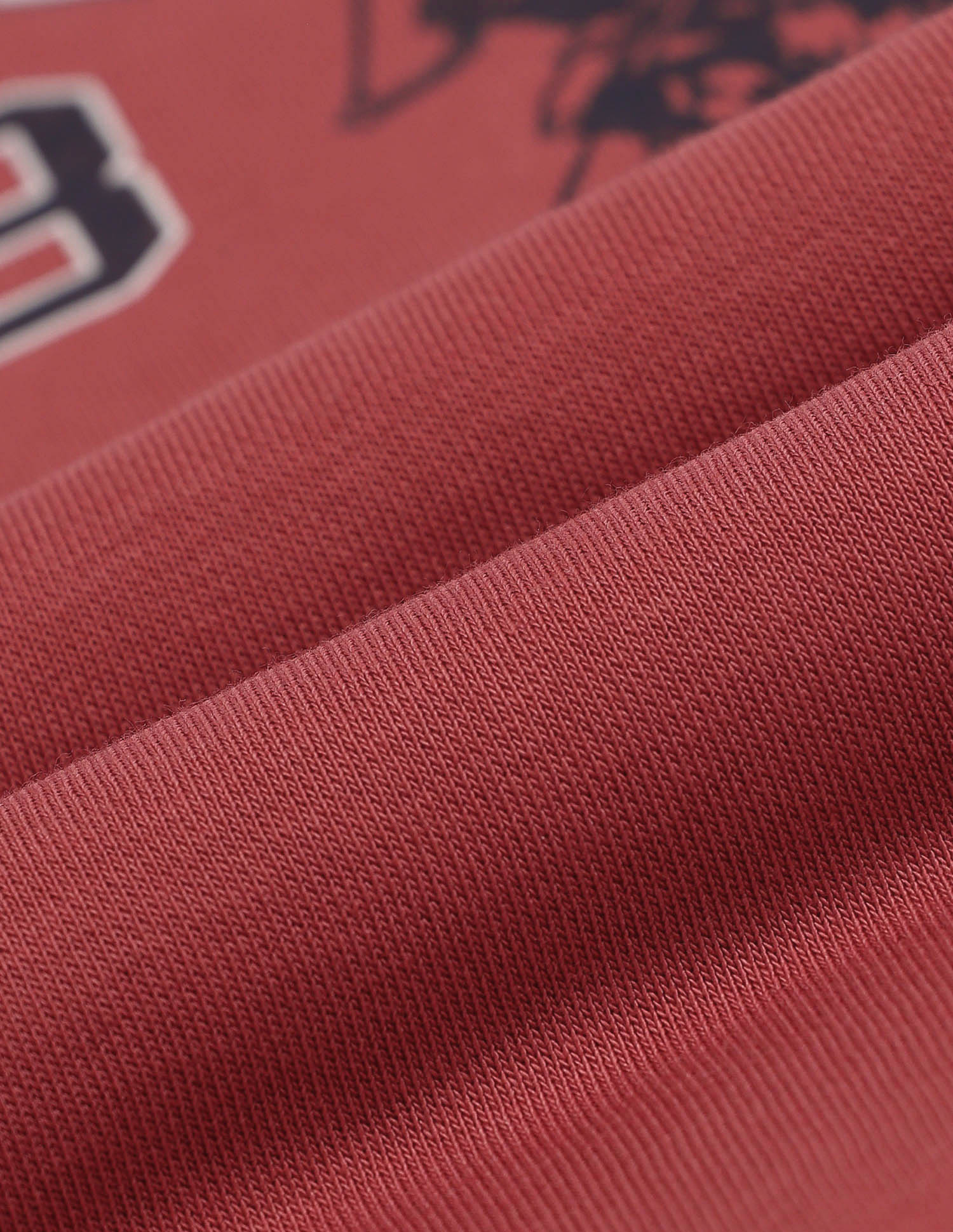 Crew Neck Brand Printed Sweatshirt Red - U.S. POLO ASSN. | Large