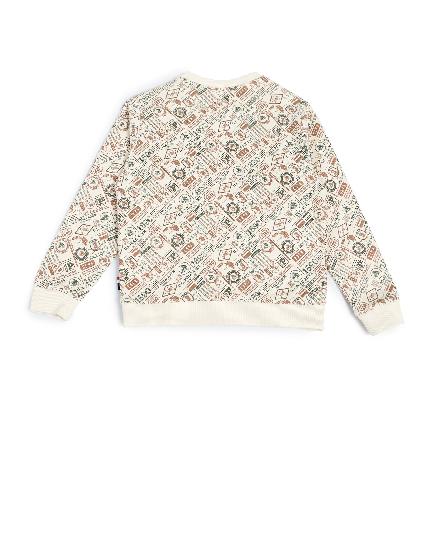 Boys Graphic Printed Cotton Sweatshirt Ecru - U.S. POLO ASSN. | Large