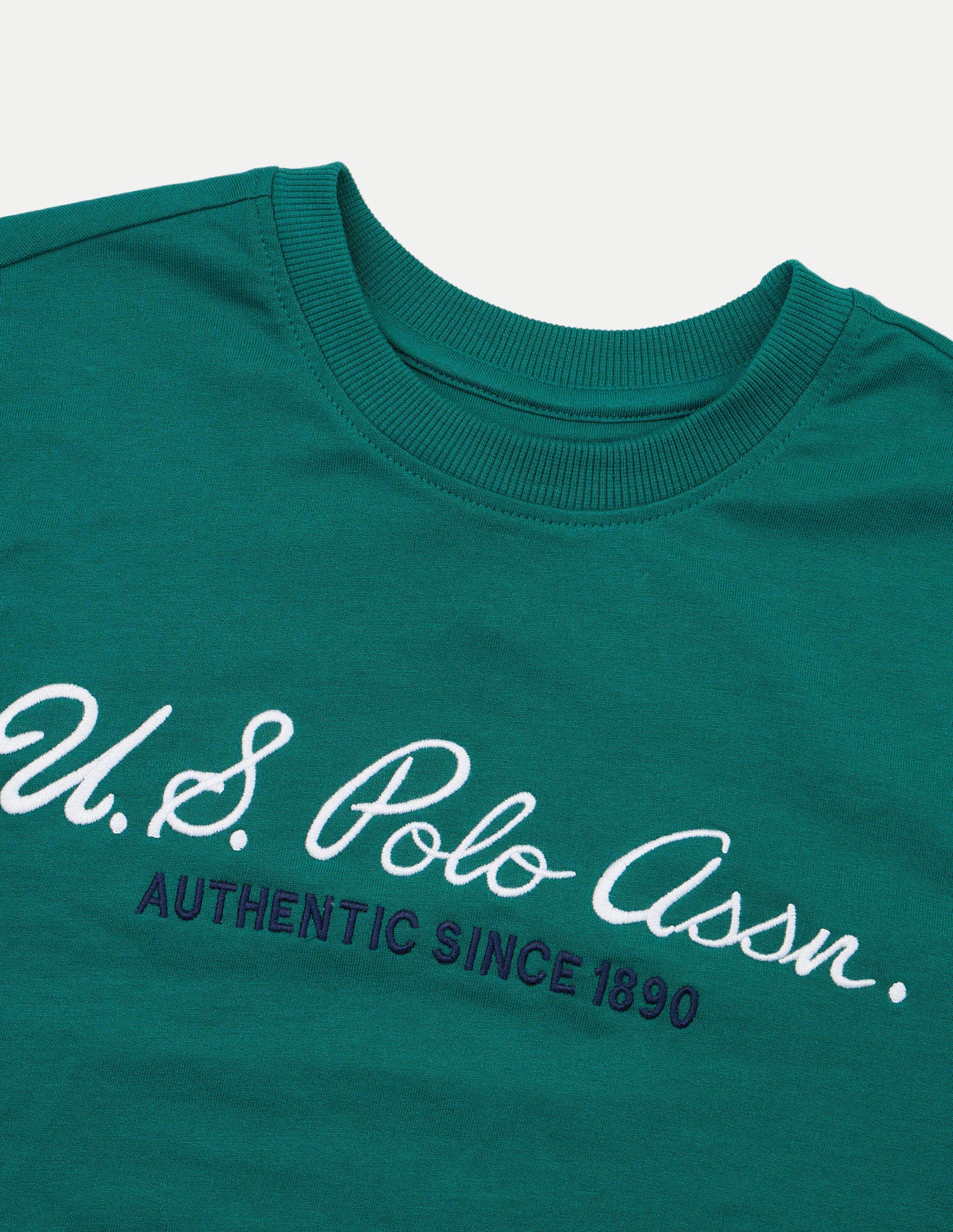 Brand Embroidered Relaxed Fit Sweatshirt Green - U.S. Polo Assn. India | Large
