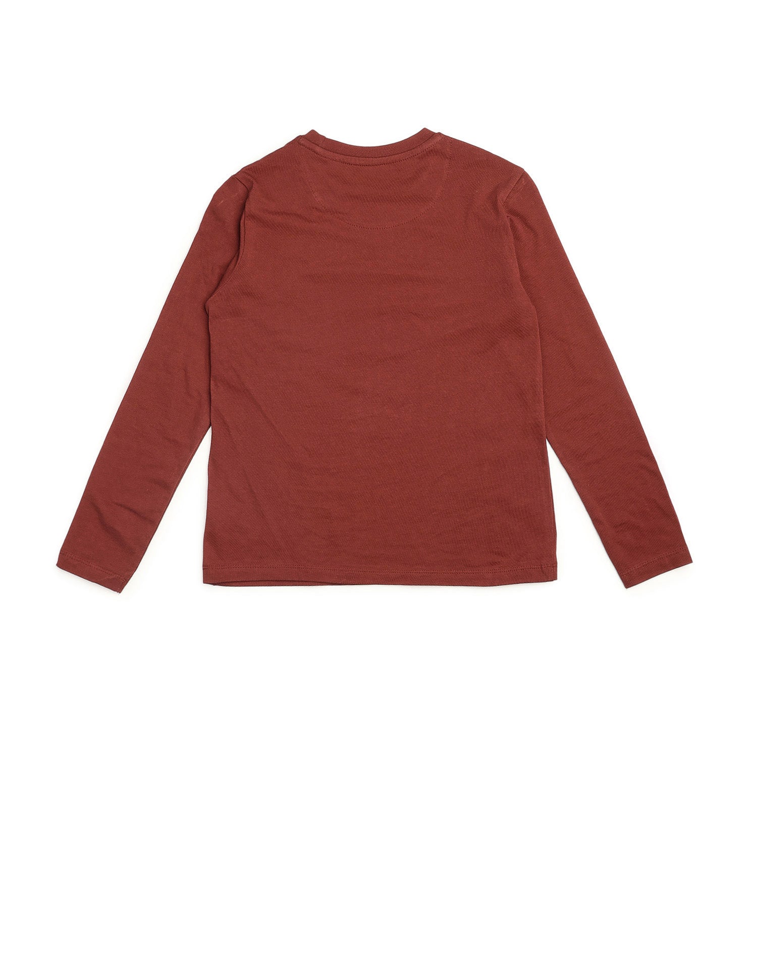 Boys Graphic Brand Printed Regular Fit T Shirt Rust - U.S. POLO ASSN. | Large