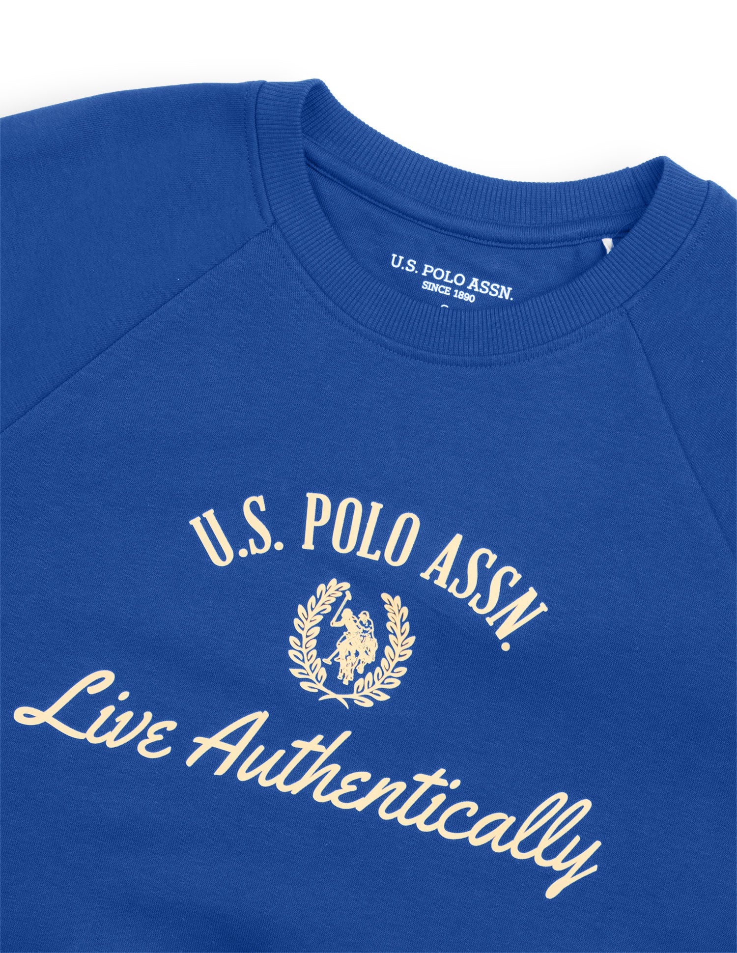 Typographic Brand Printed Relaxed Fit Sweatshirt Blue - U.S. Polo Assn. India | Large